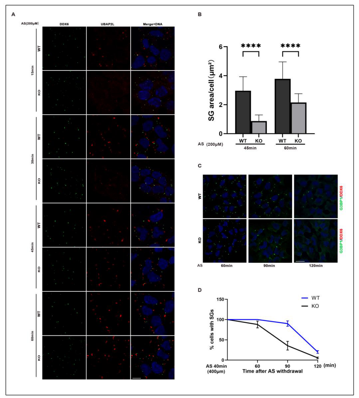 Preprints 221087 g004