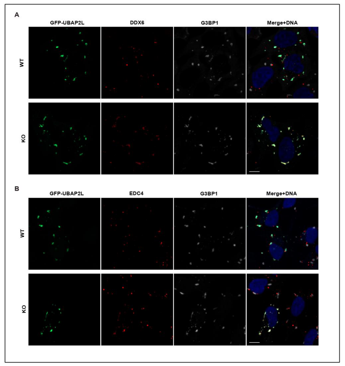 Preprints 221087 g005