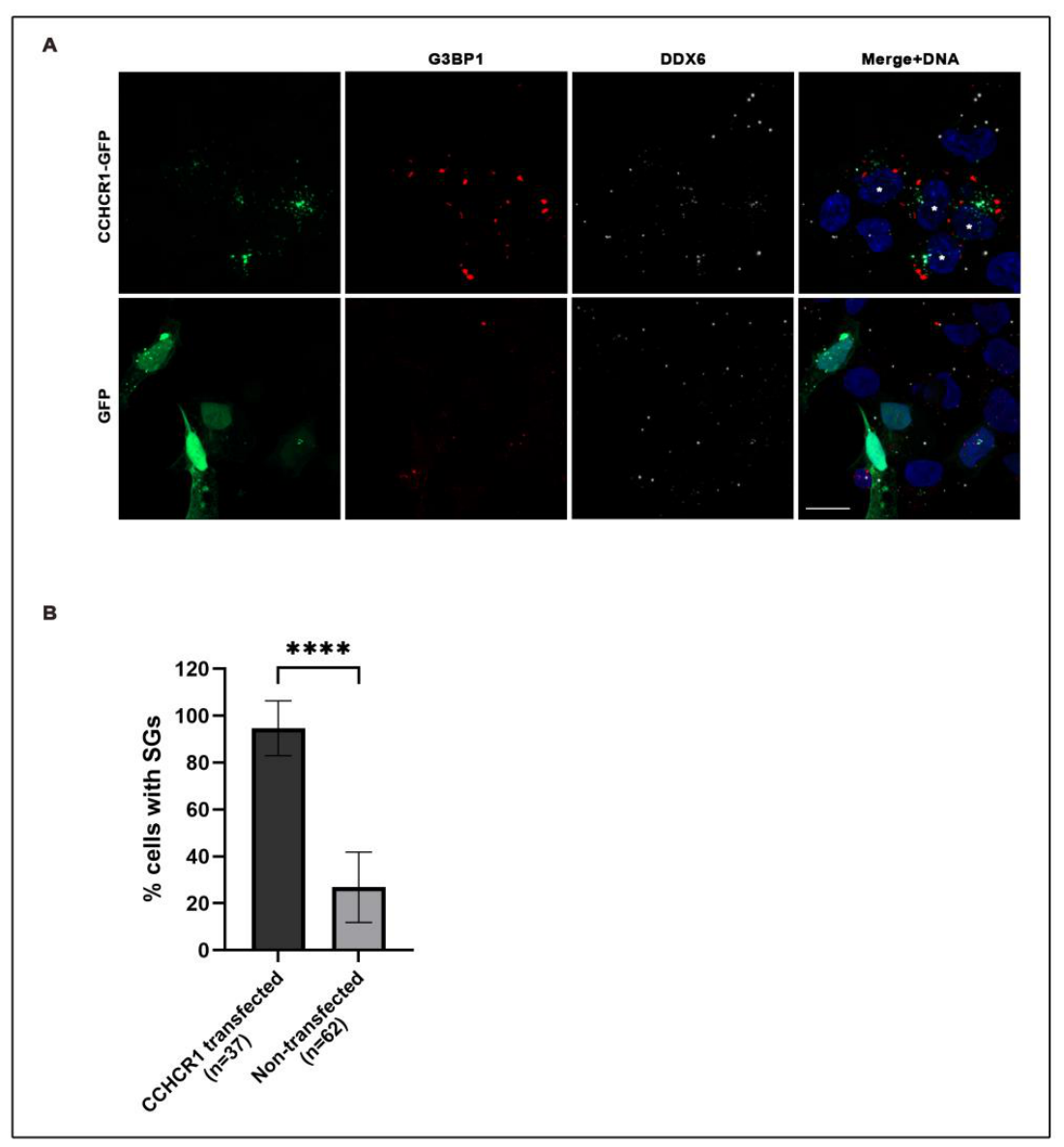 Preprints 221087 g006