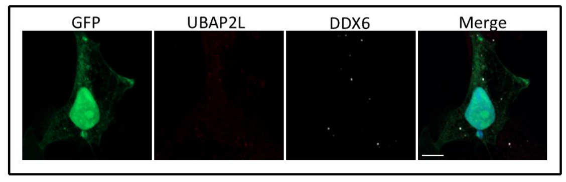 Preprints 221087 g0a1