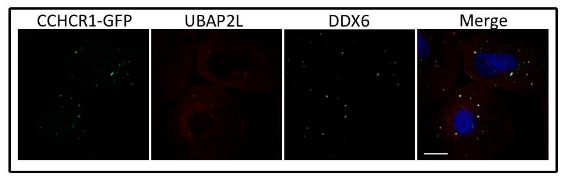 Preprints 221087 g0a2