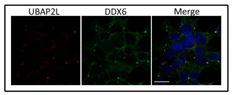Preprints 221087 g0a3