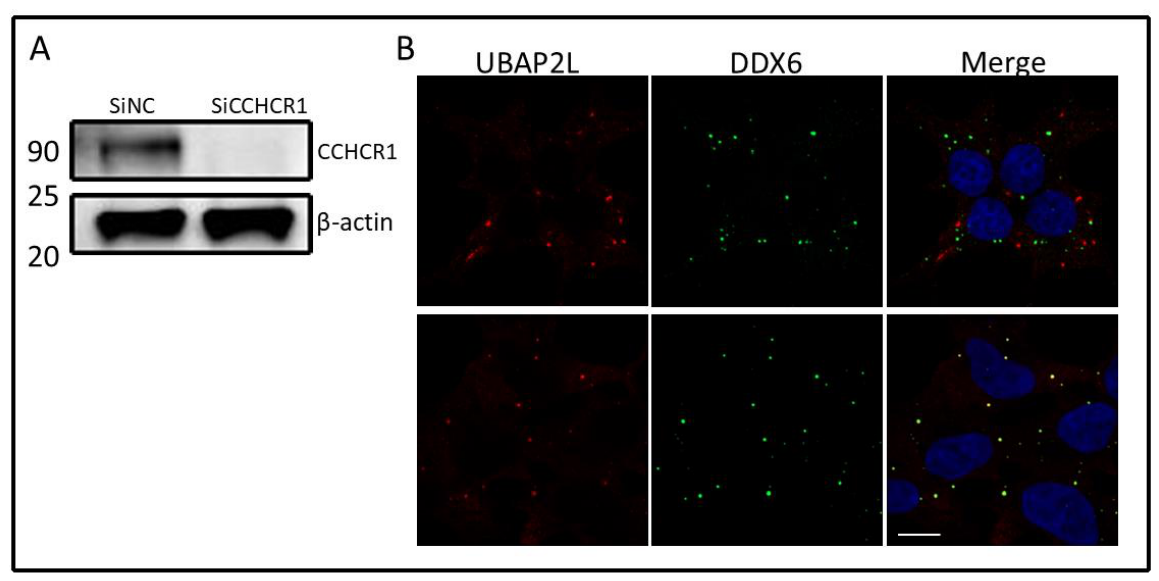 Preprints 221087 g0a4