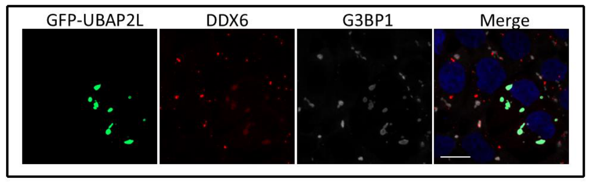 Preprints 221087 g0a5