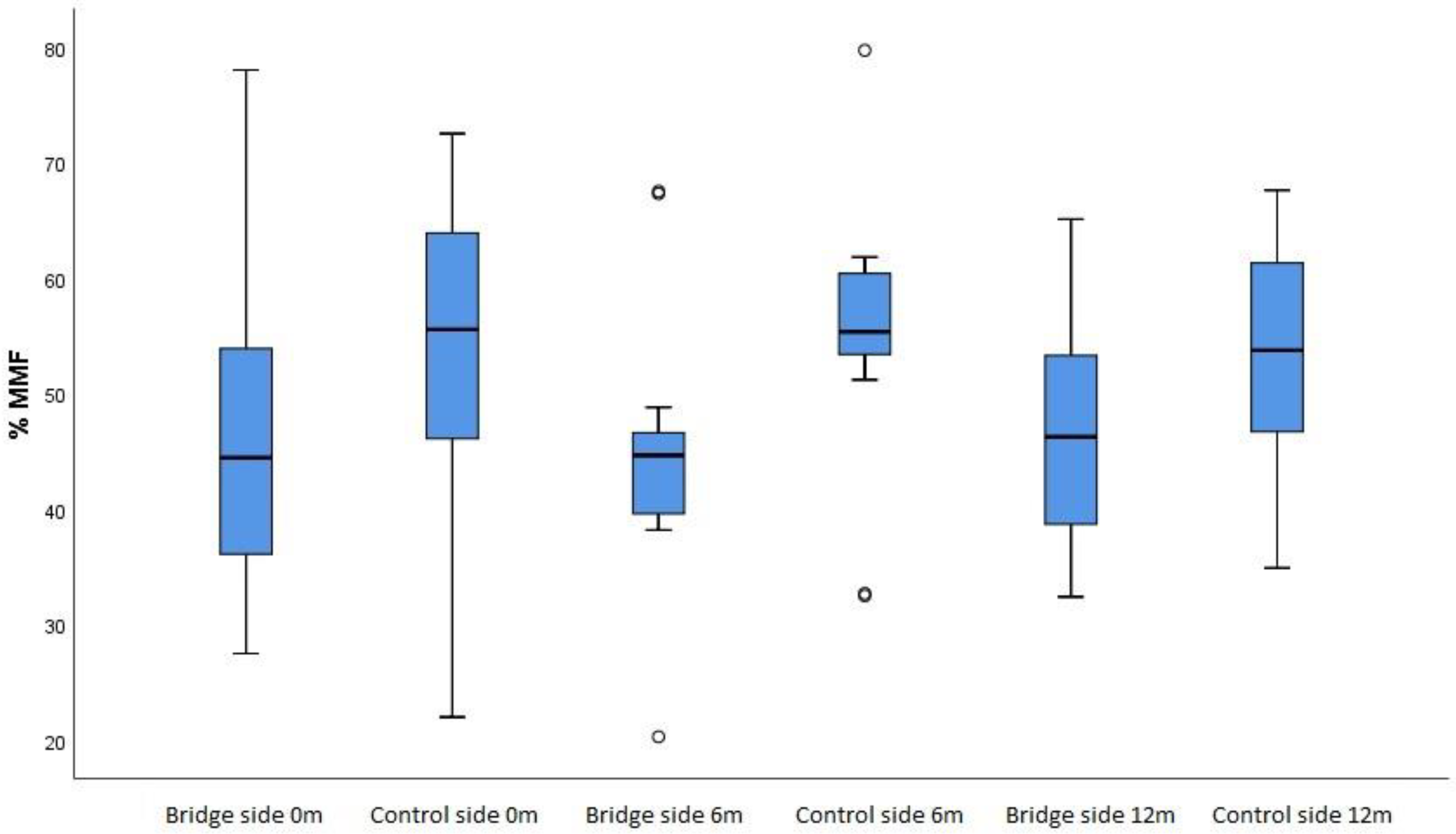 Preprints 76380 g006