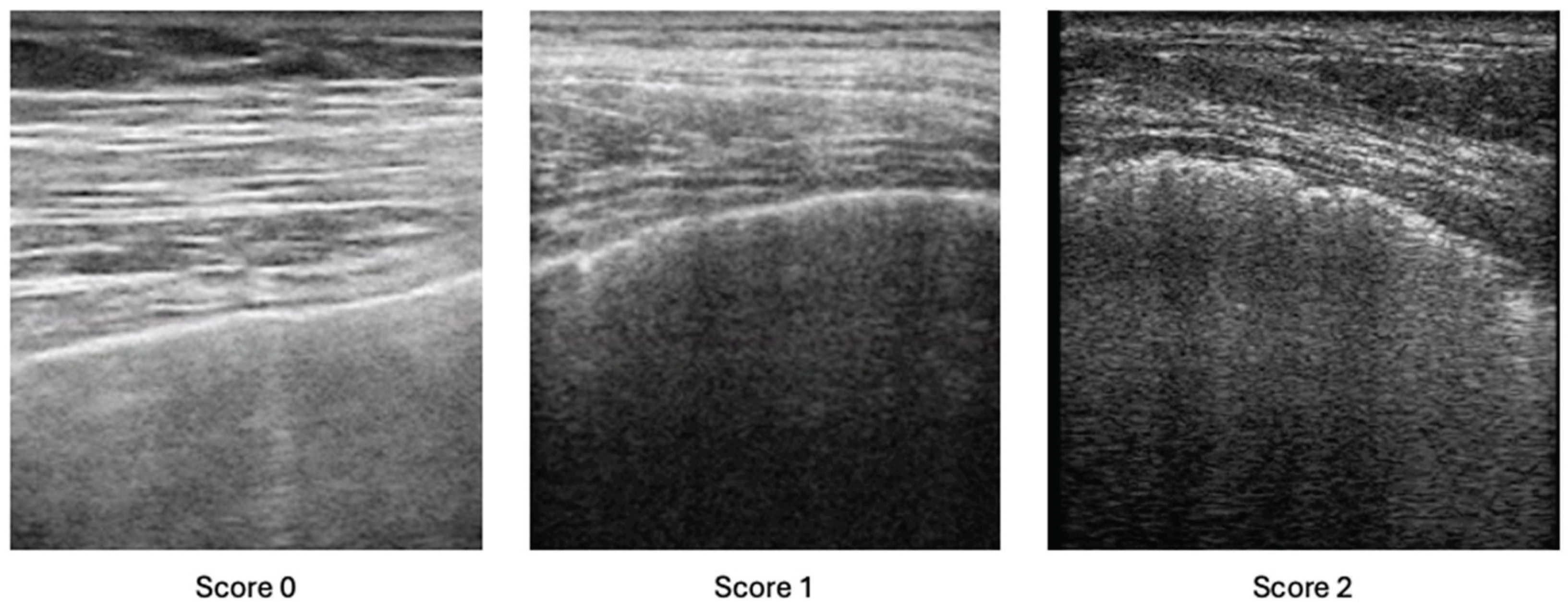 Preprints 166514 g001