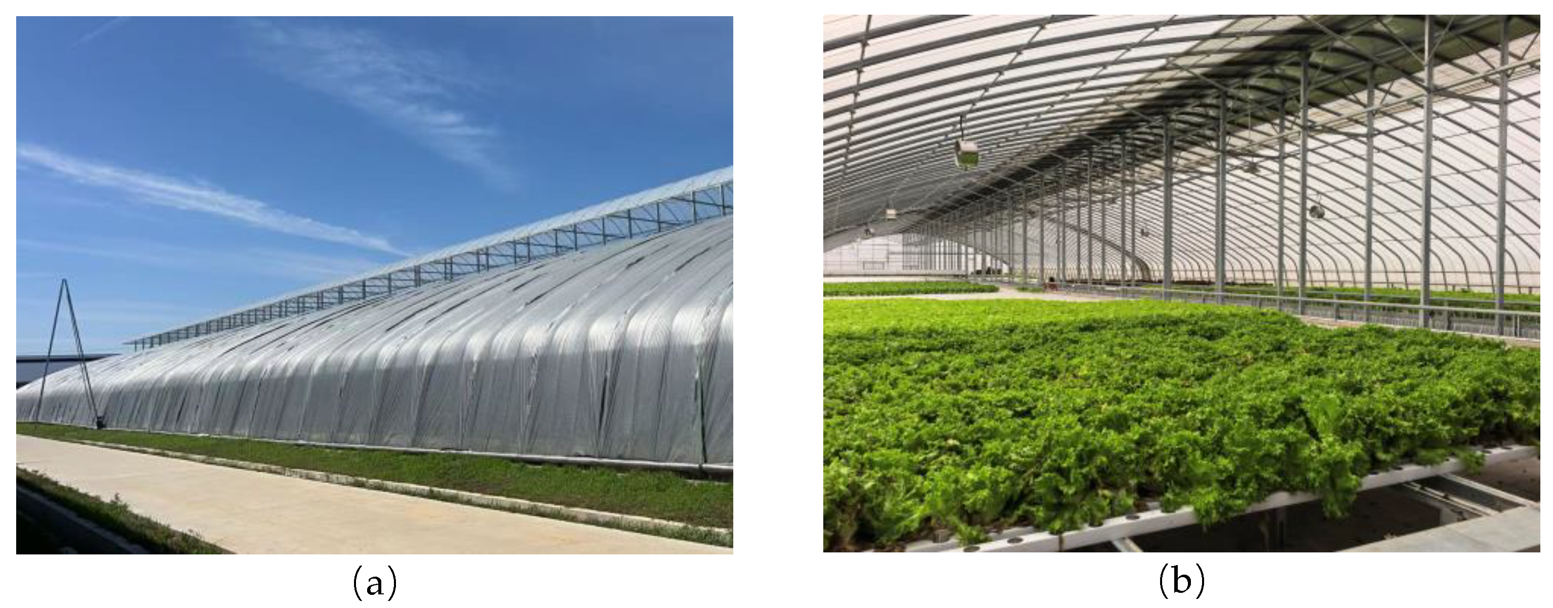 Preprints 180986 g001