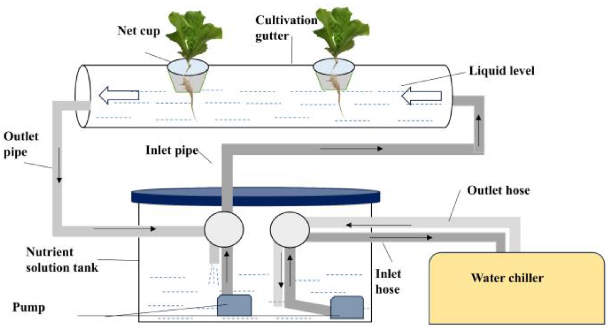 Preprints 180986 g002