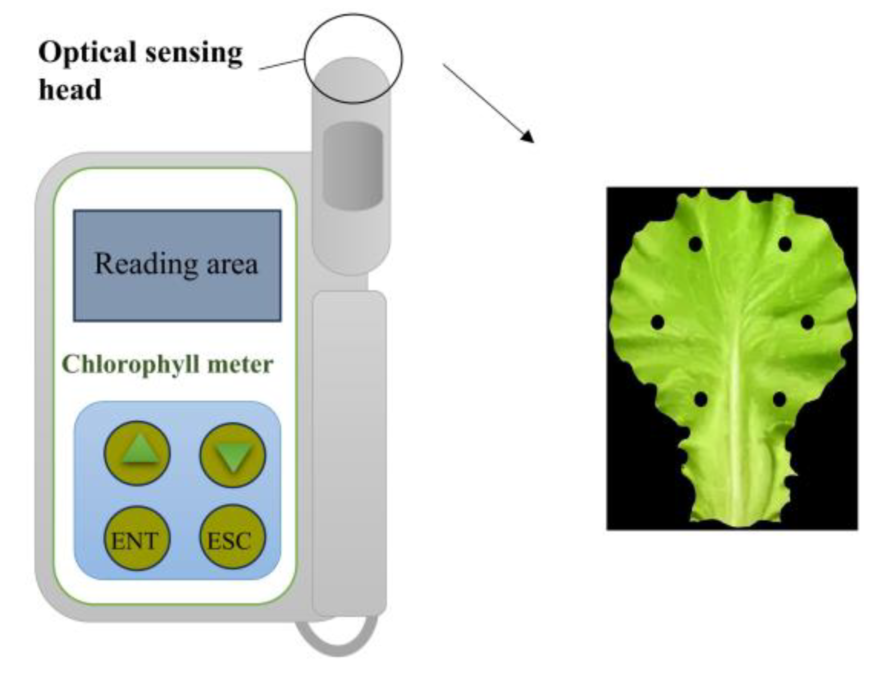 Preprints 180986 g003
