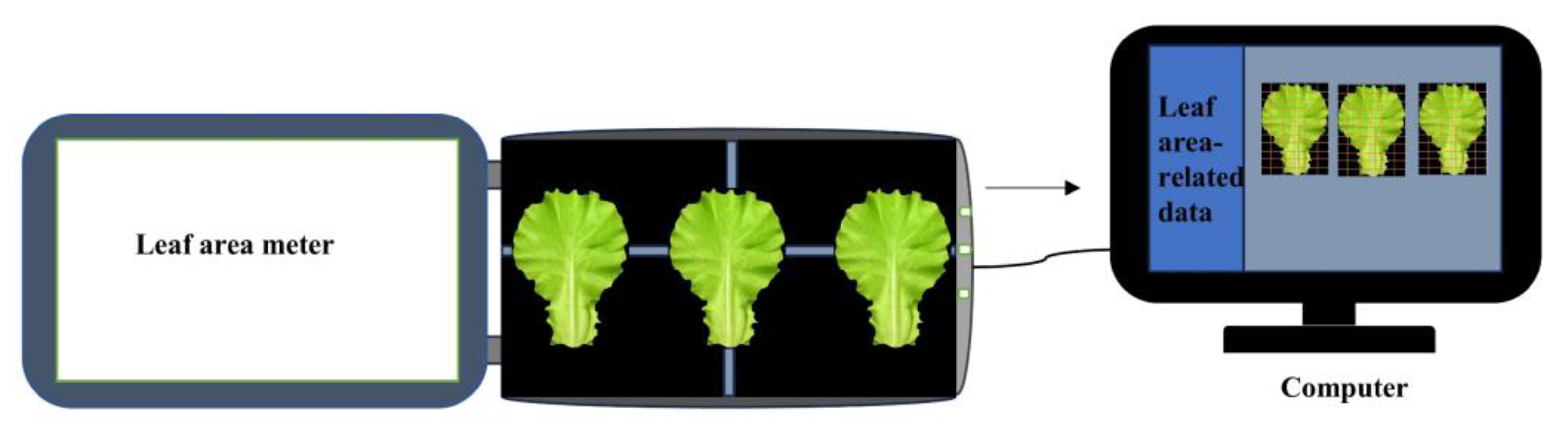 Preprints 180986 g004