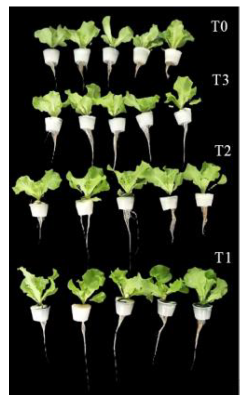 Preprints 180986 g014