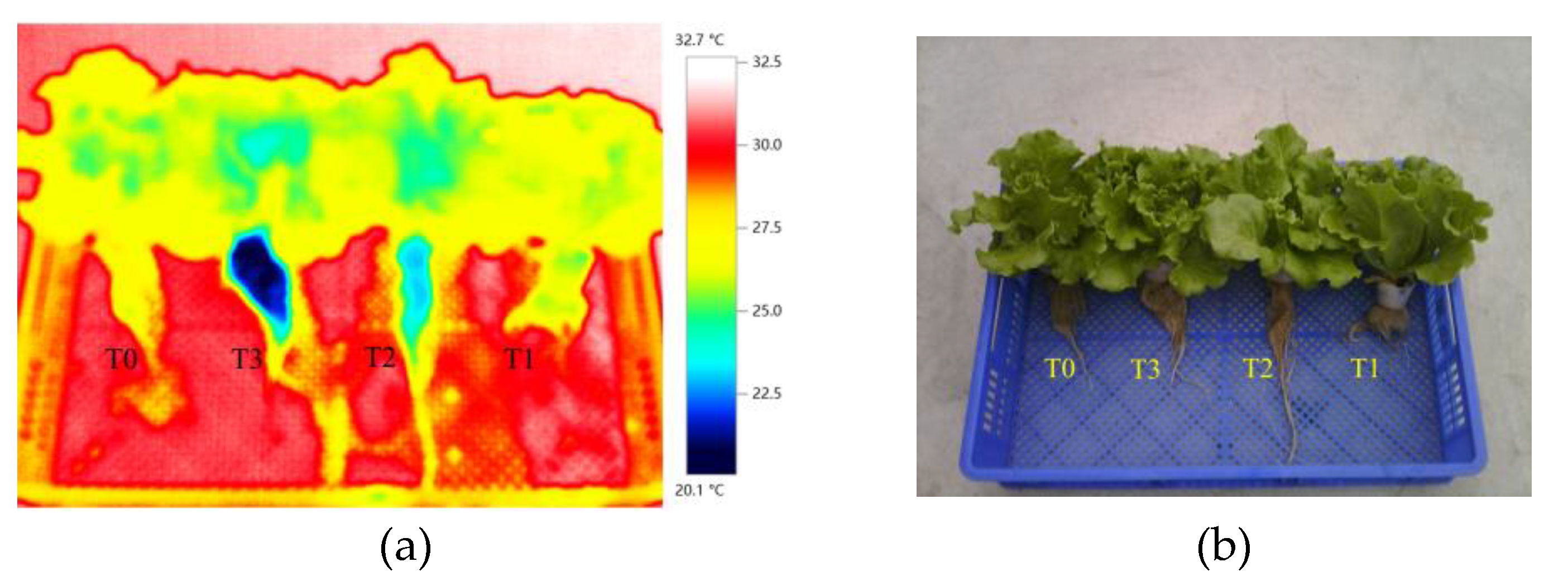 Preprints 180986 g015