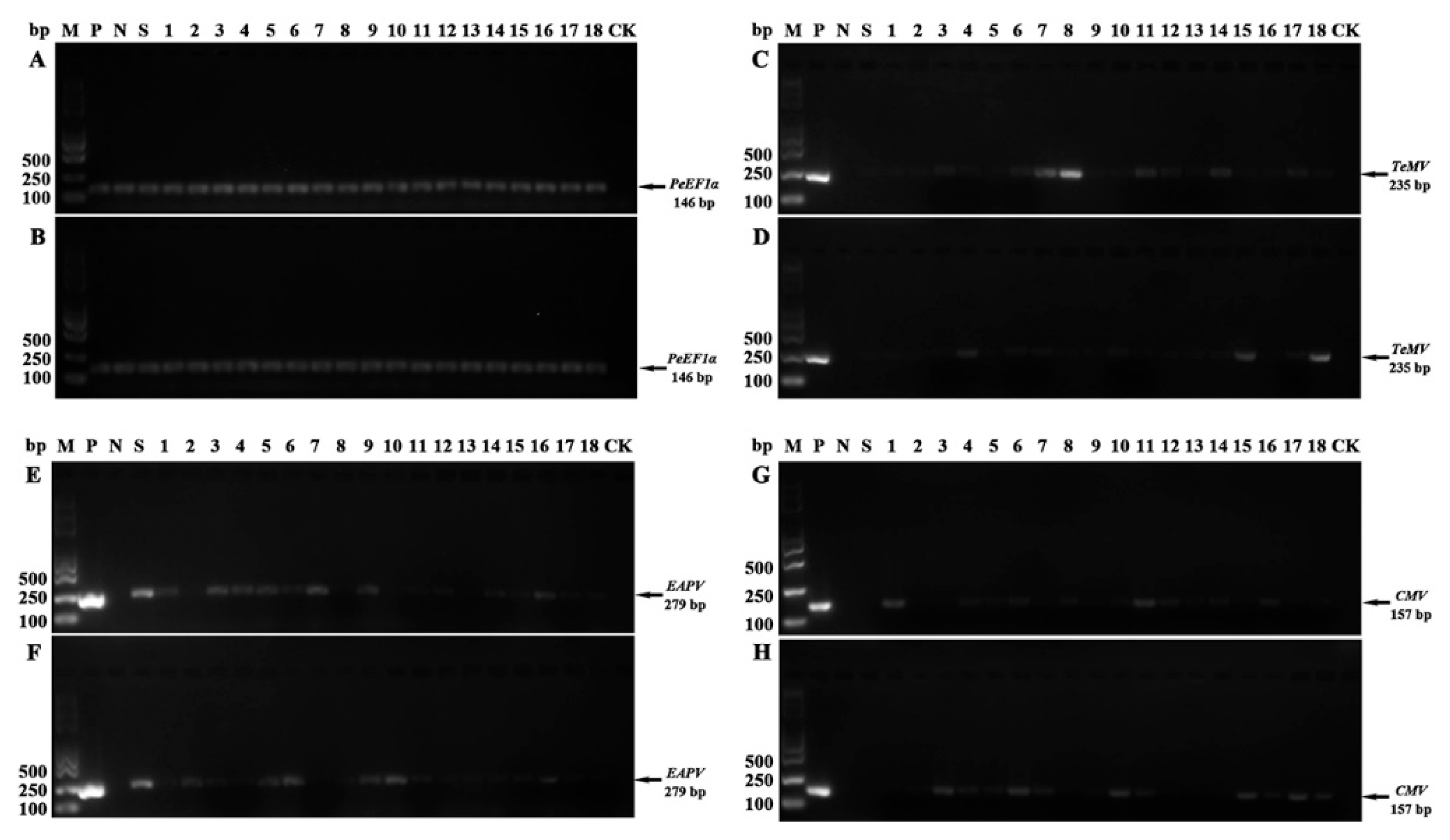 Preprints 227303 g007