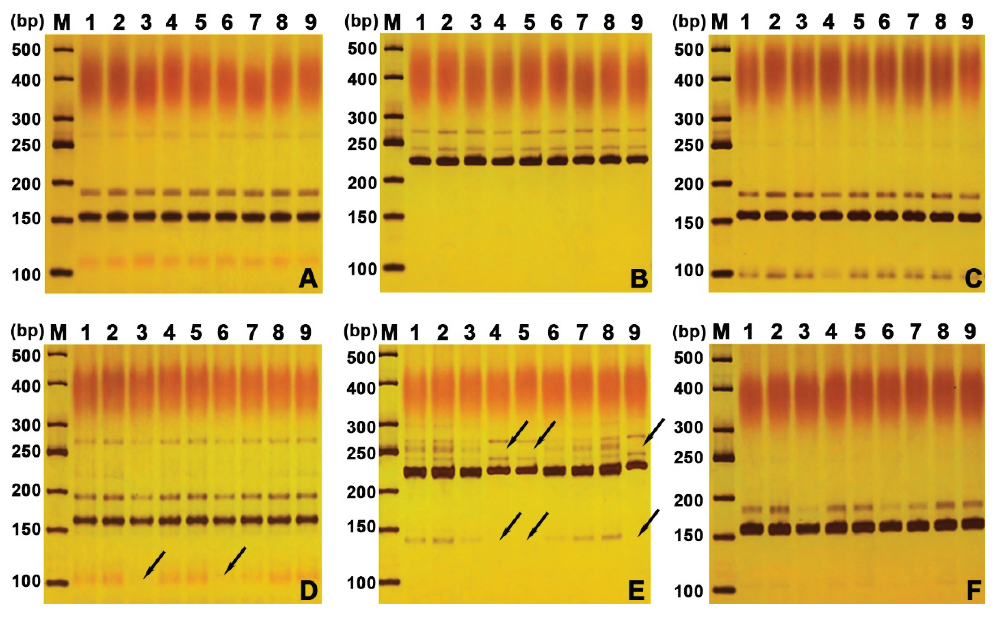 Preprints 227303 g008