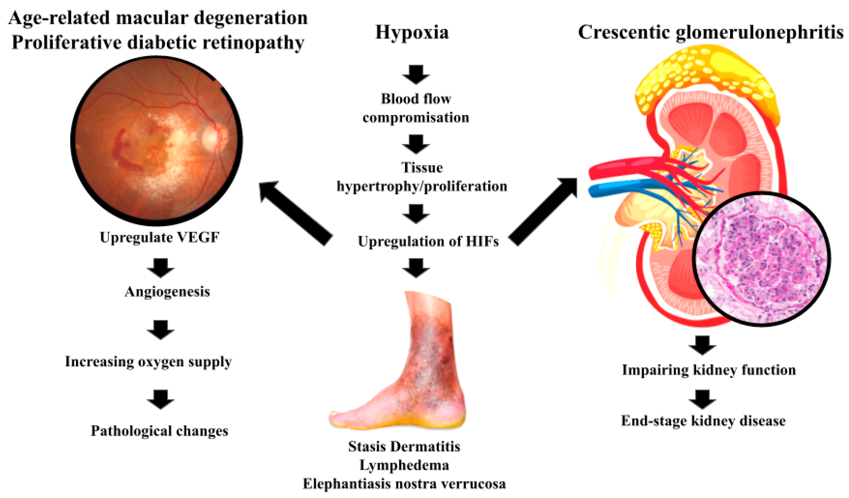 Preprints 172021 g002