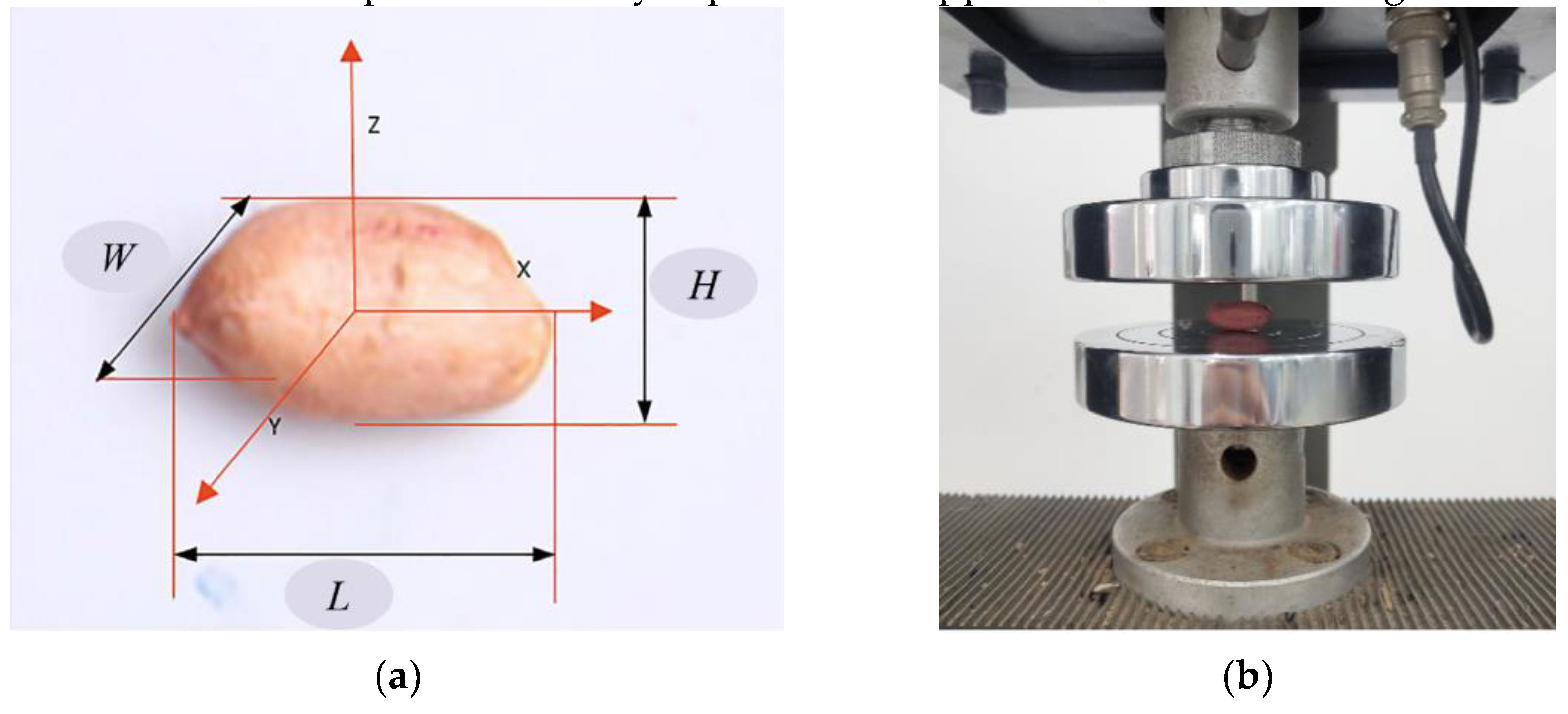 Preprints 144908 g003