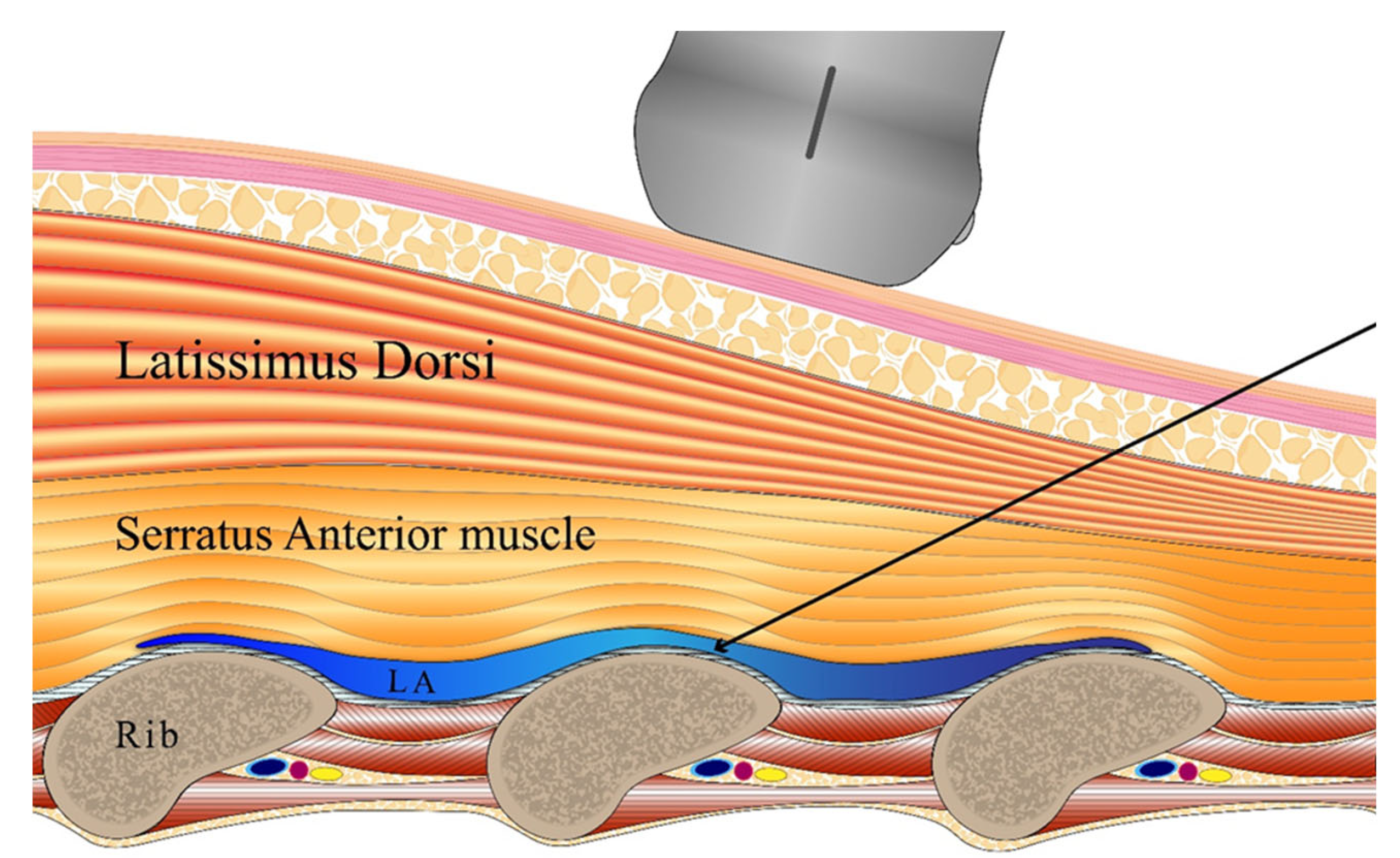 Preprints 140711 g001