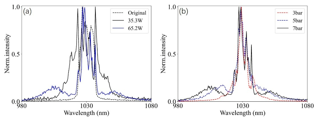 Preprints 209554 g006
