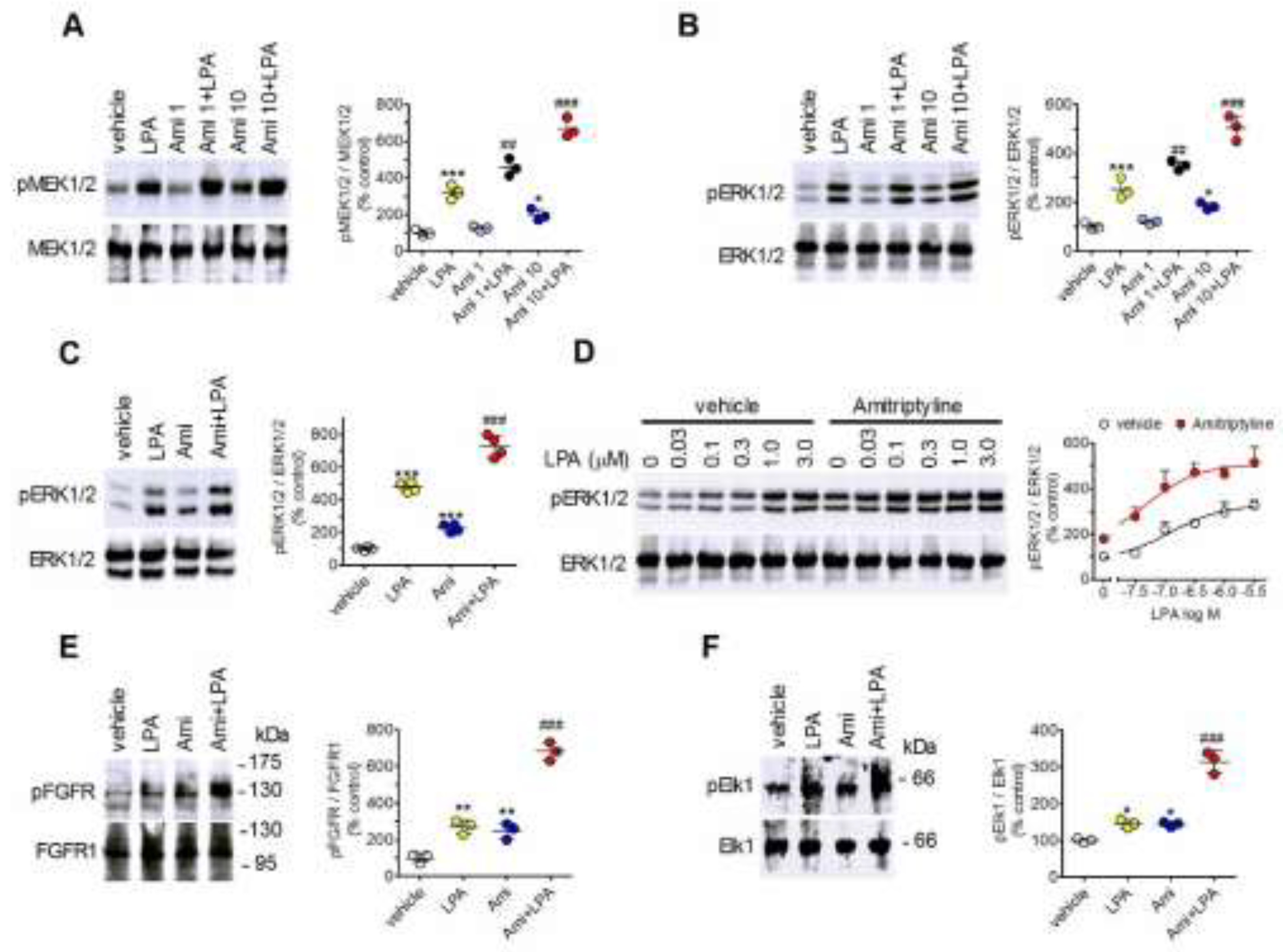 Preprints 201922 g001