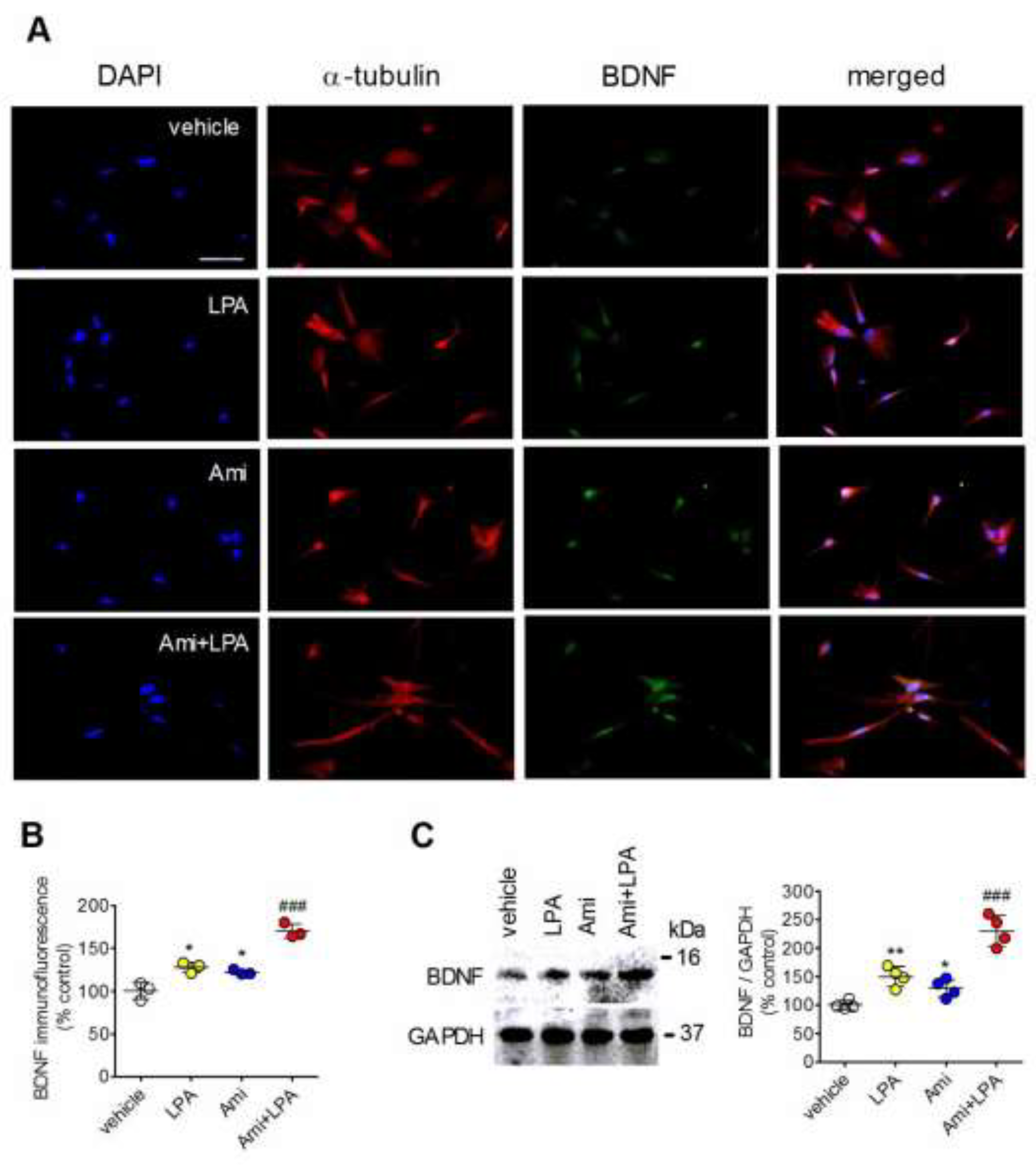 Preprints 201922 g003
