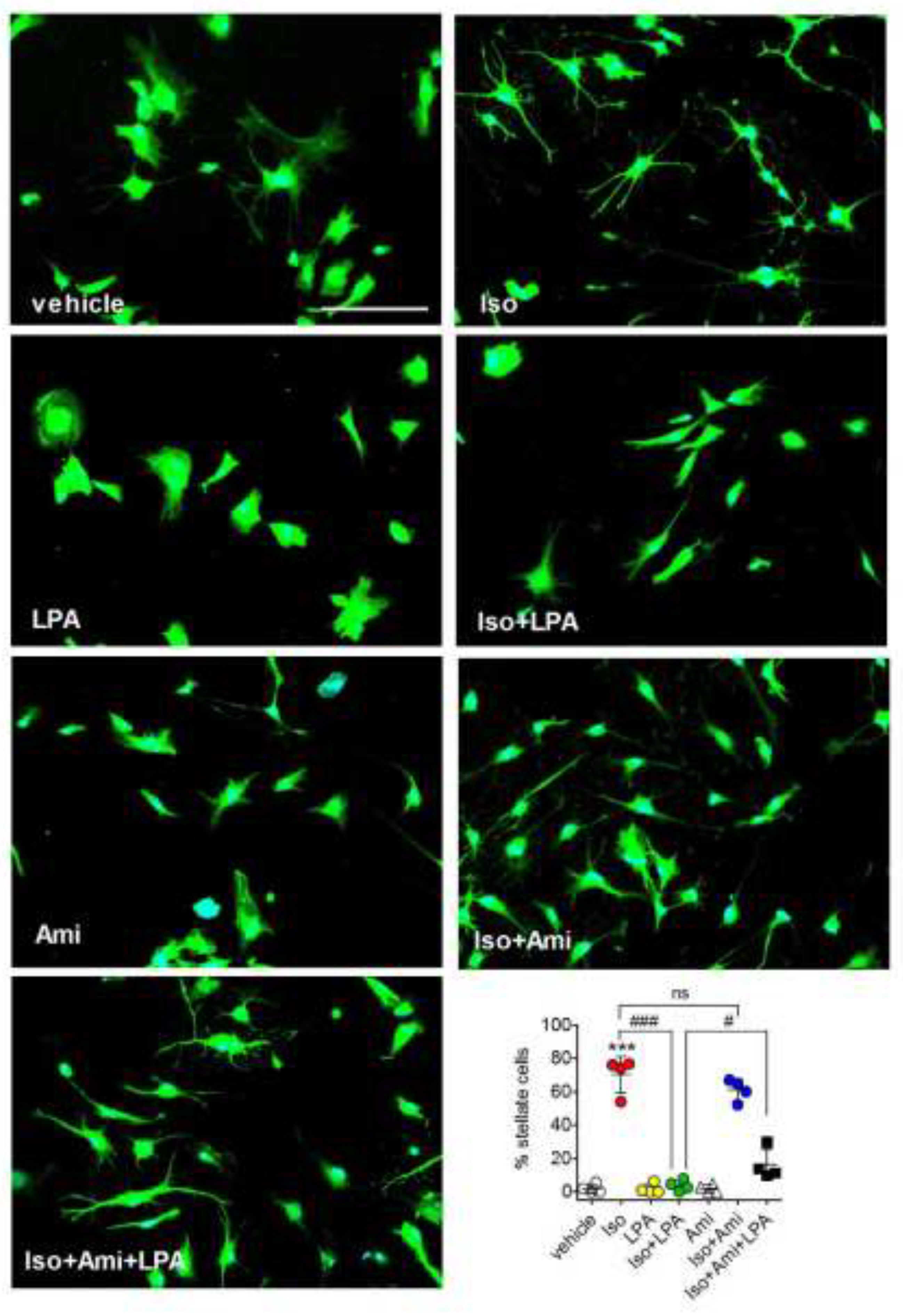 Preprints 201922 g005