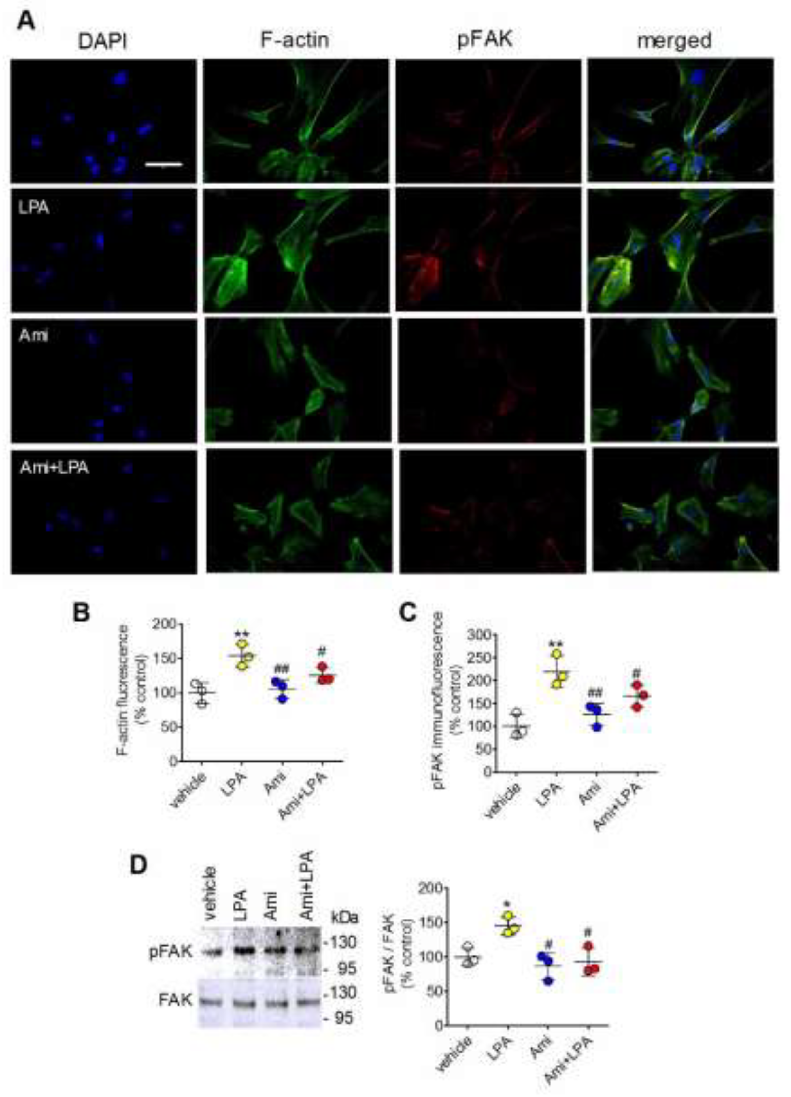 Preprints 201922 g006