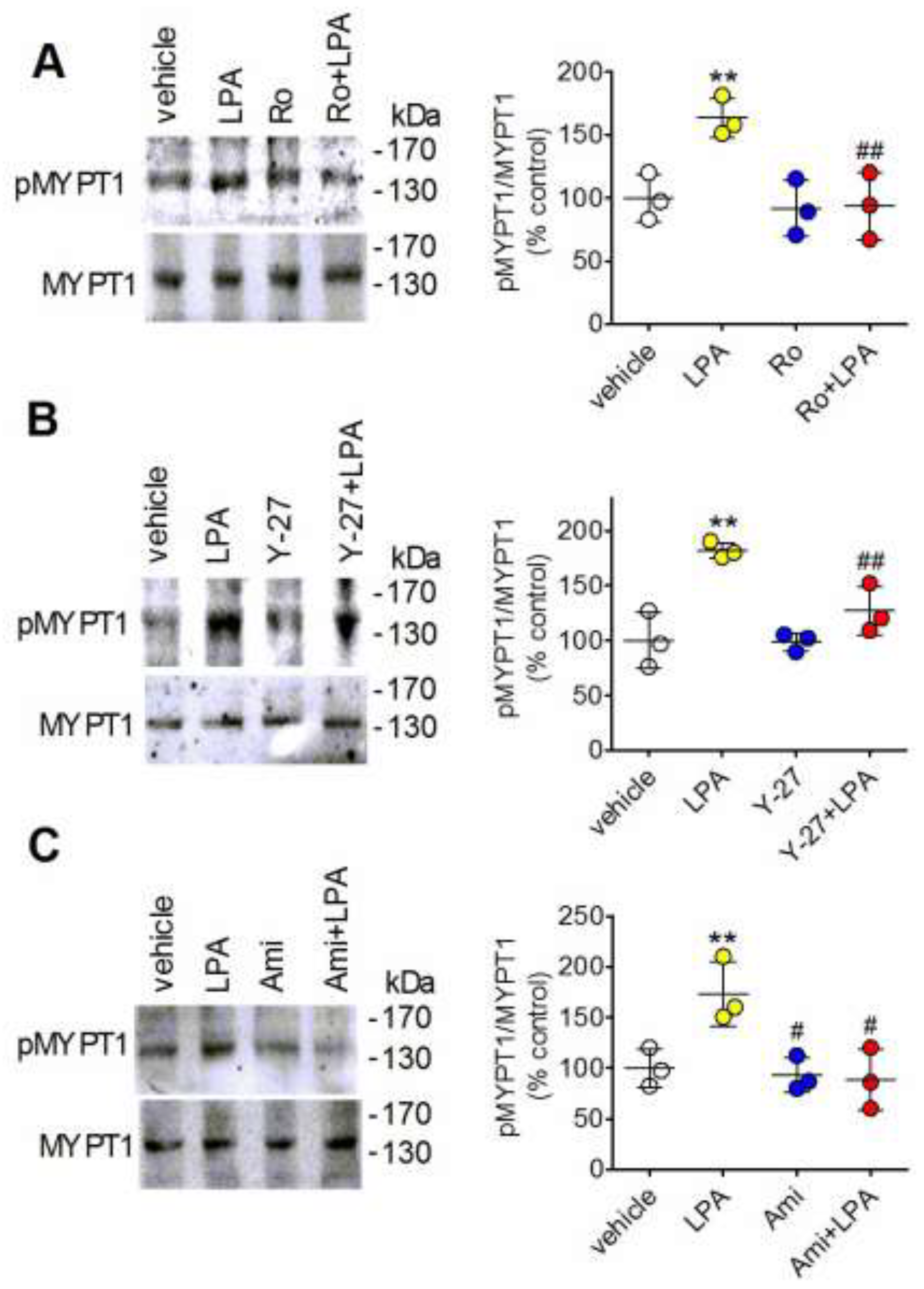 Preprints 201922 g007