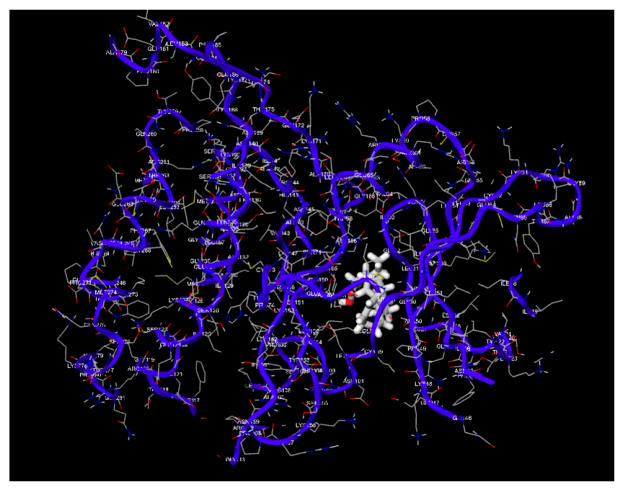 Preprints 223124 g008 Preprints 223124 g008