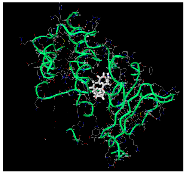 Preprints 223124 g010 Preprints 223124 g010