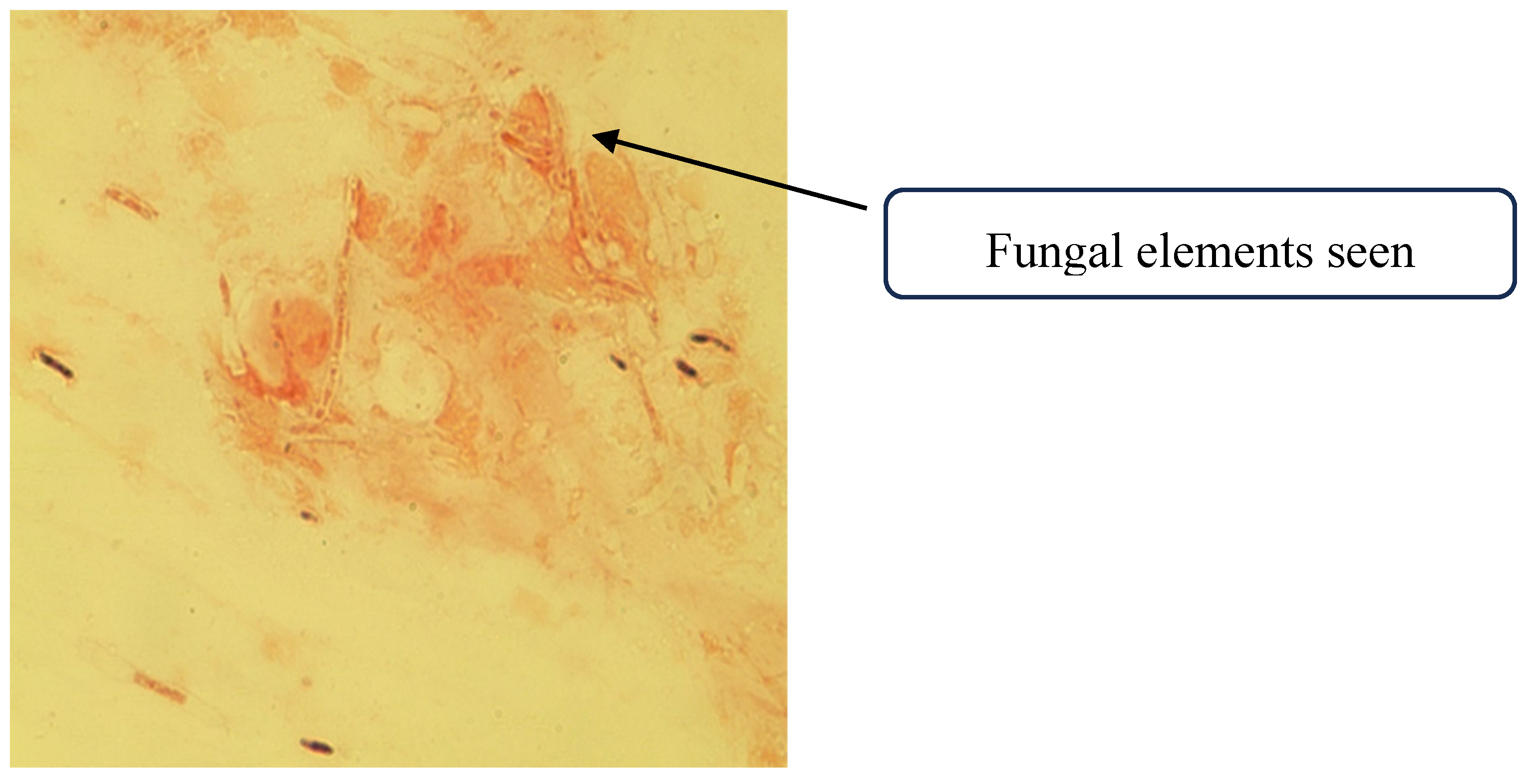 Preprints 179189 g001