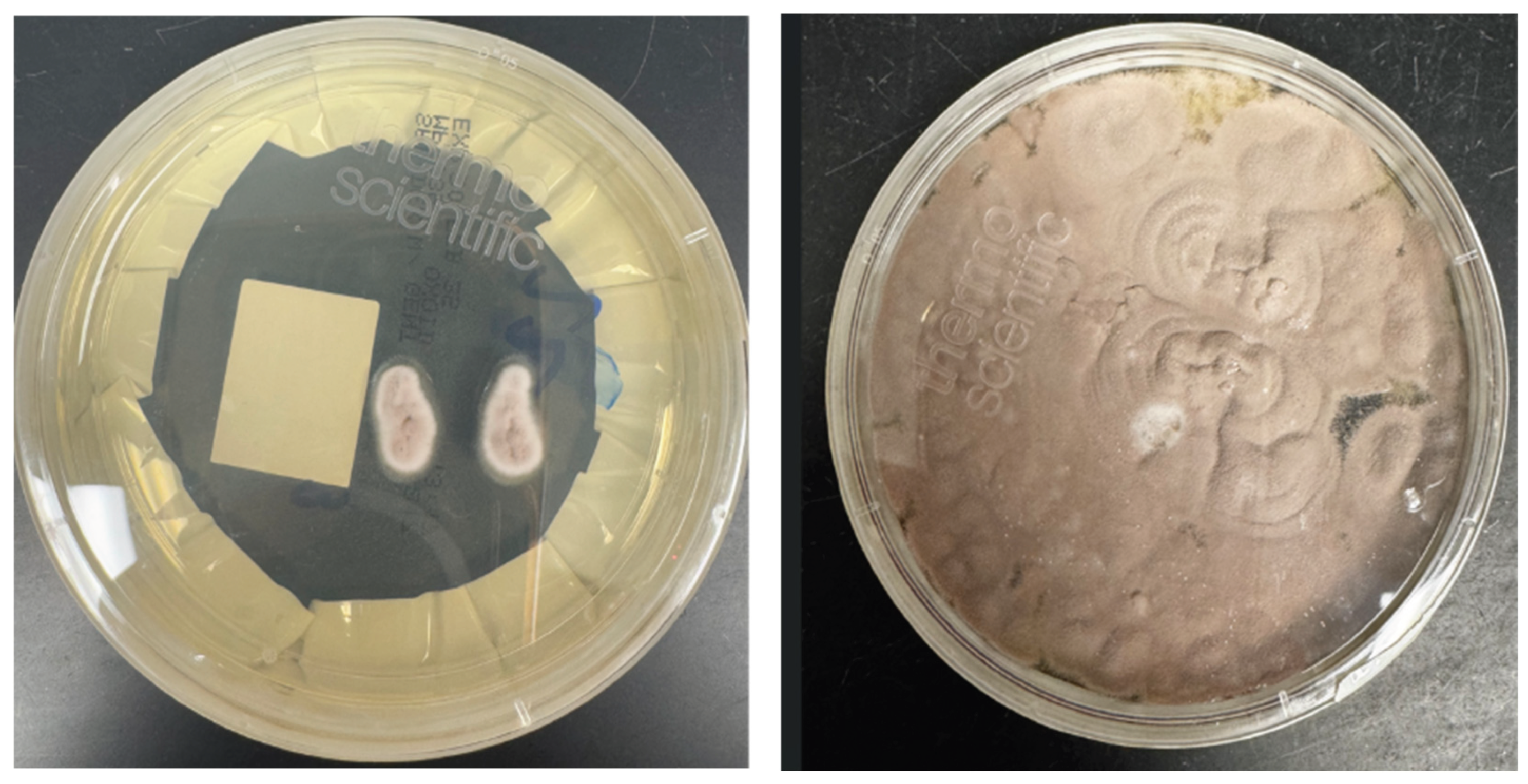 Preprints 179189 g003