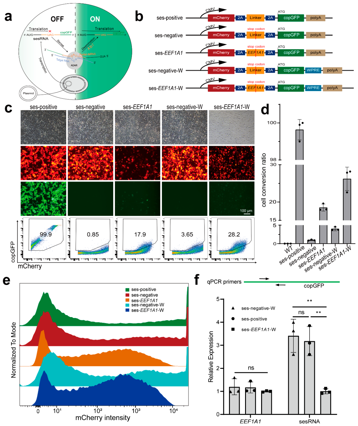 Preprints 223788 g001 Preprints 223788 g001