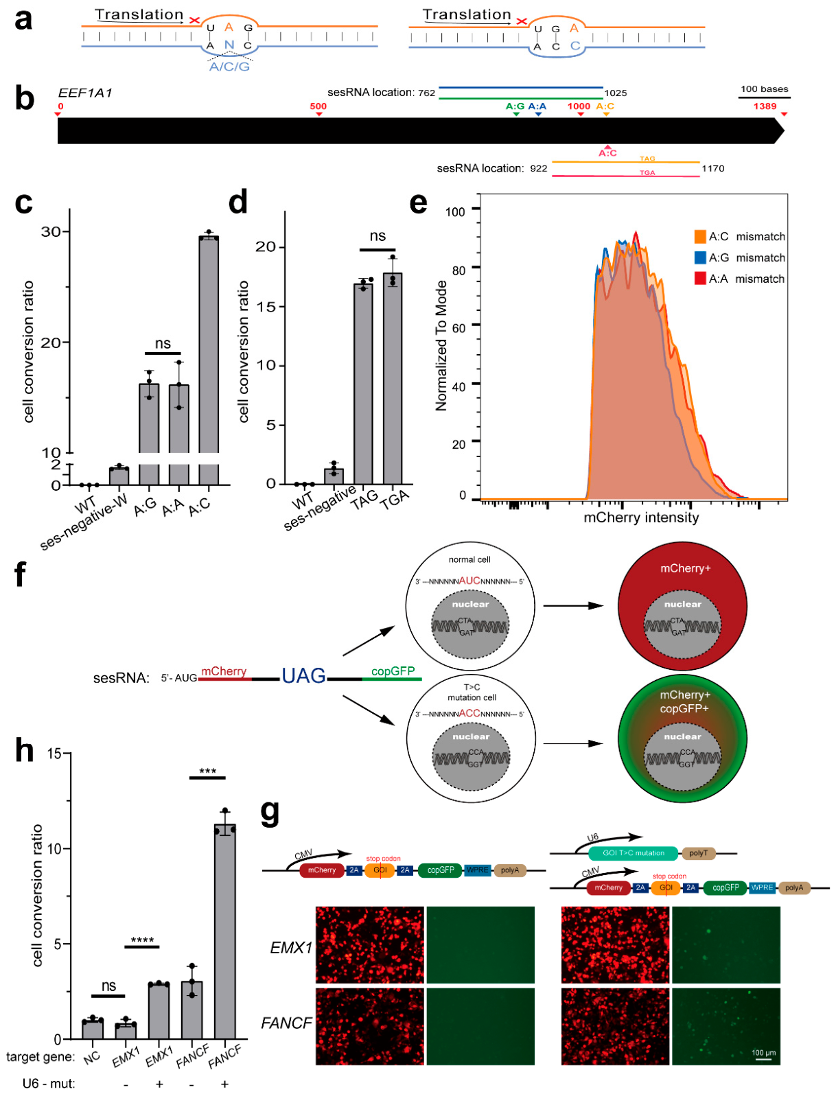 Preprints 223788 g002 Preprints 223788 g002
