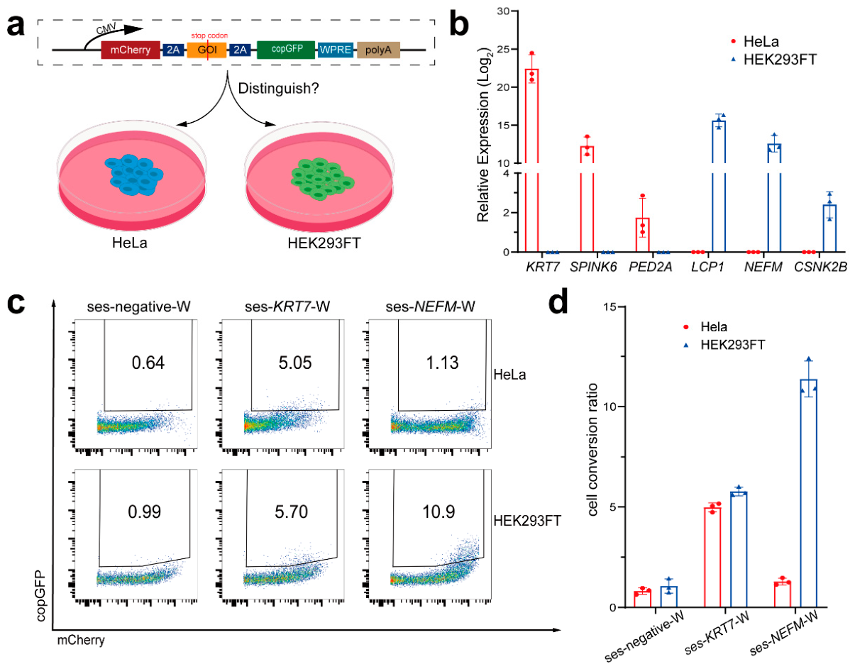 Preprints 223788 g003 Preprints 223788 g003