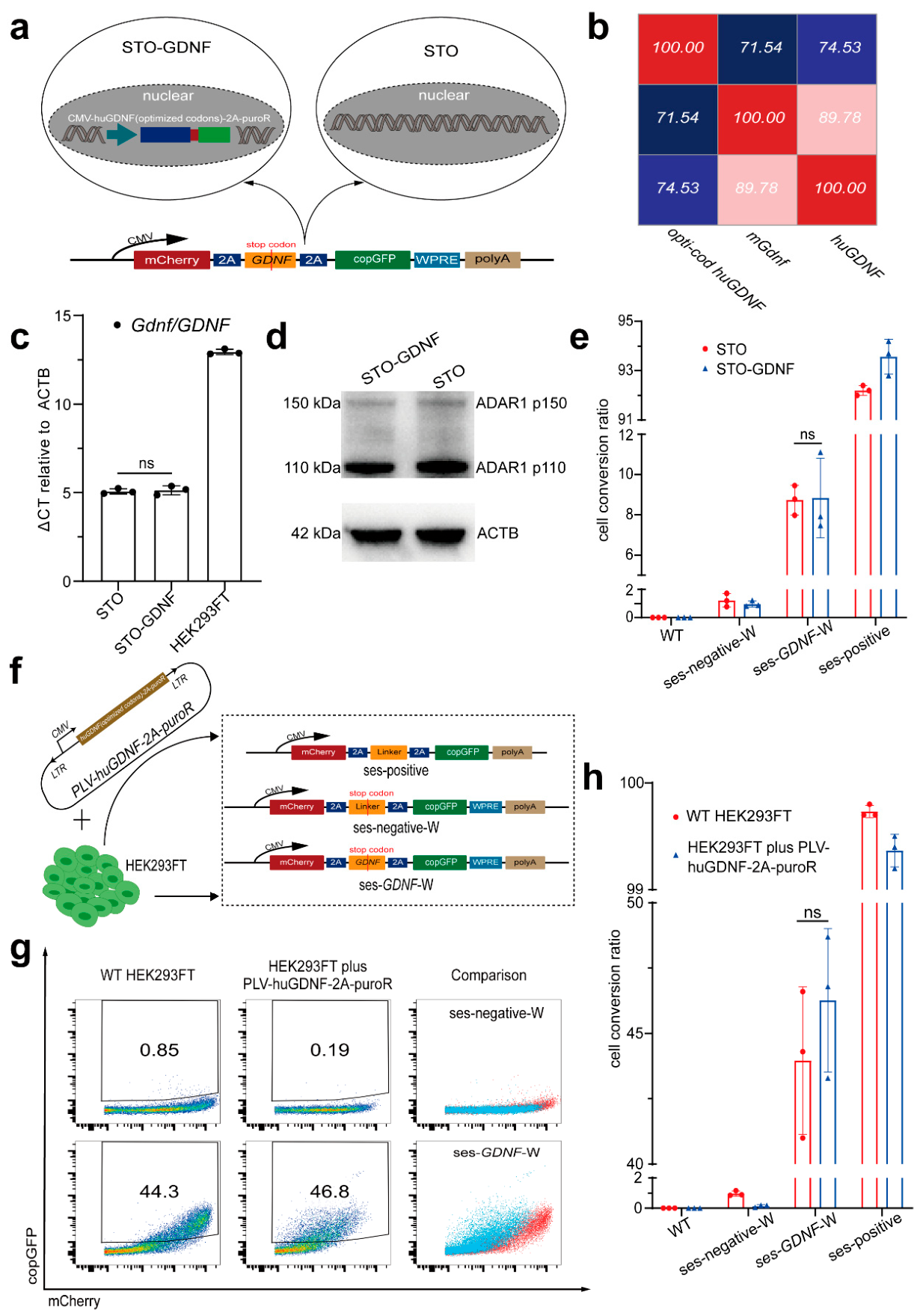 Preprints 223788 g004 Preprints 223788 g004