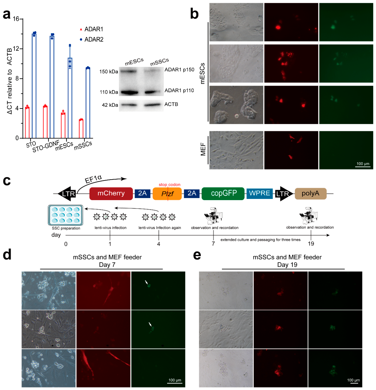 Preprints 223788 g005 Preprints 223788 g005