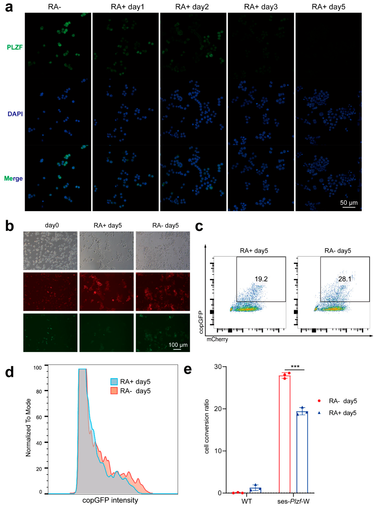 Preprints 223788 g006 Preprints 223788 g006