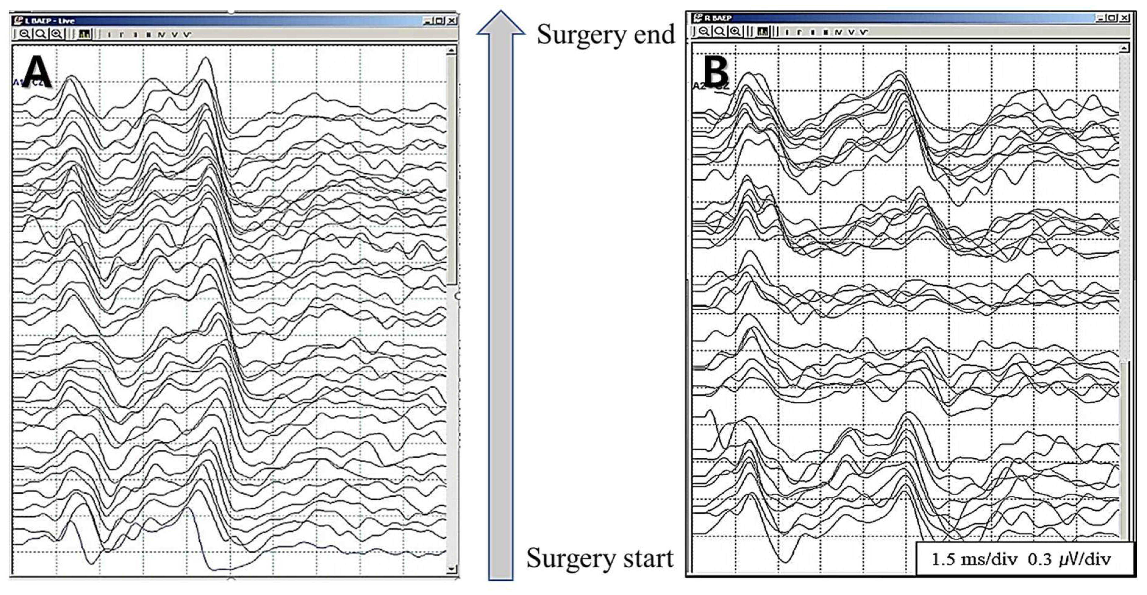 Preprints 78652 g001