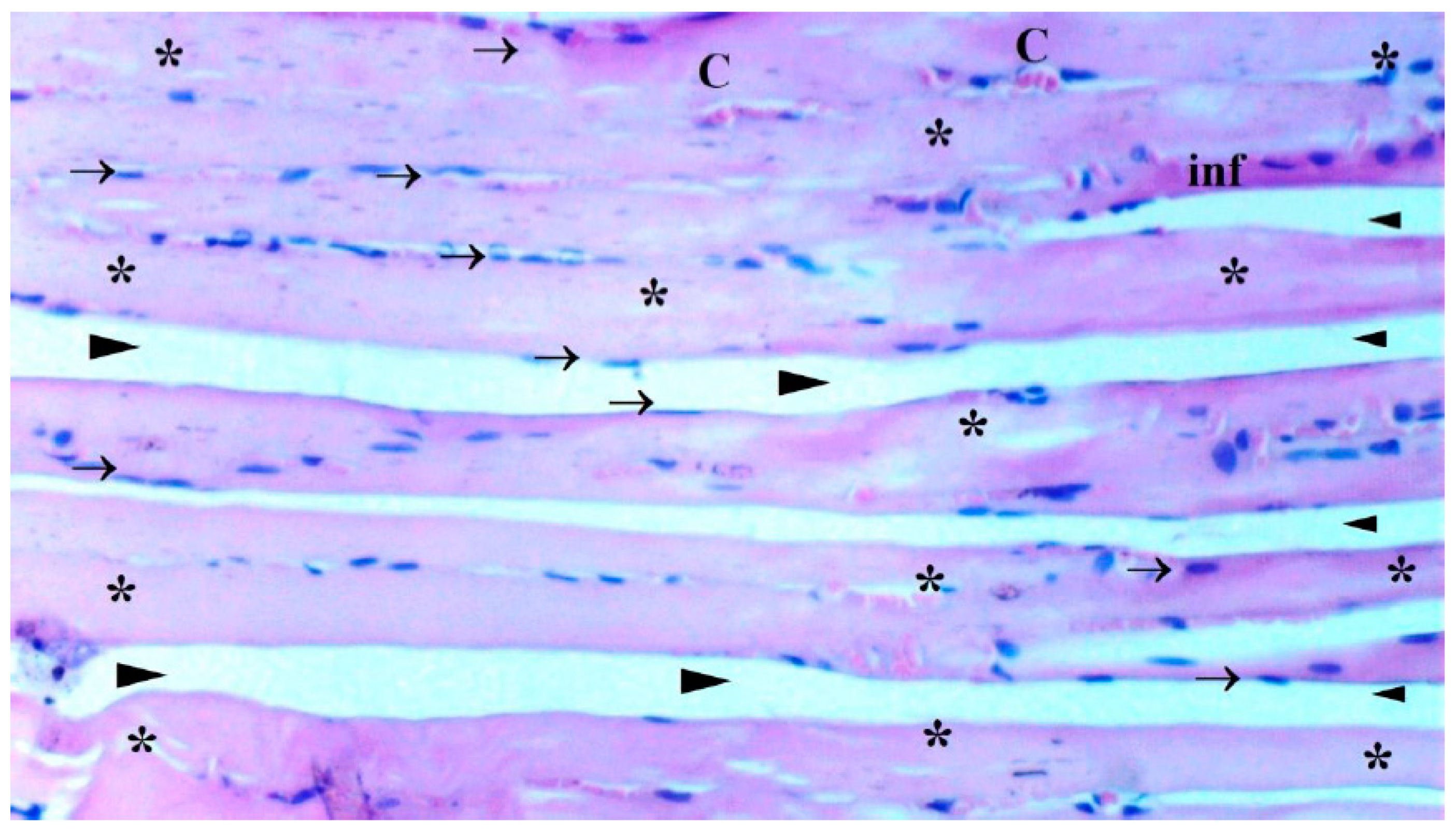 Preprints 102147 g003