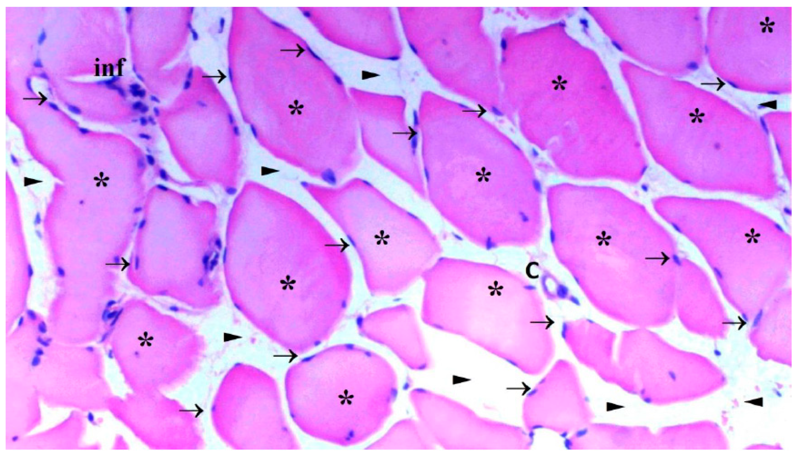 Preprints 102147 g004