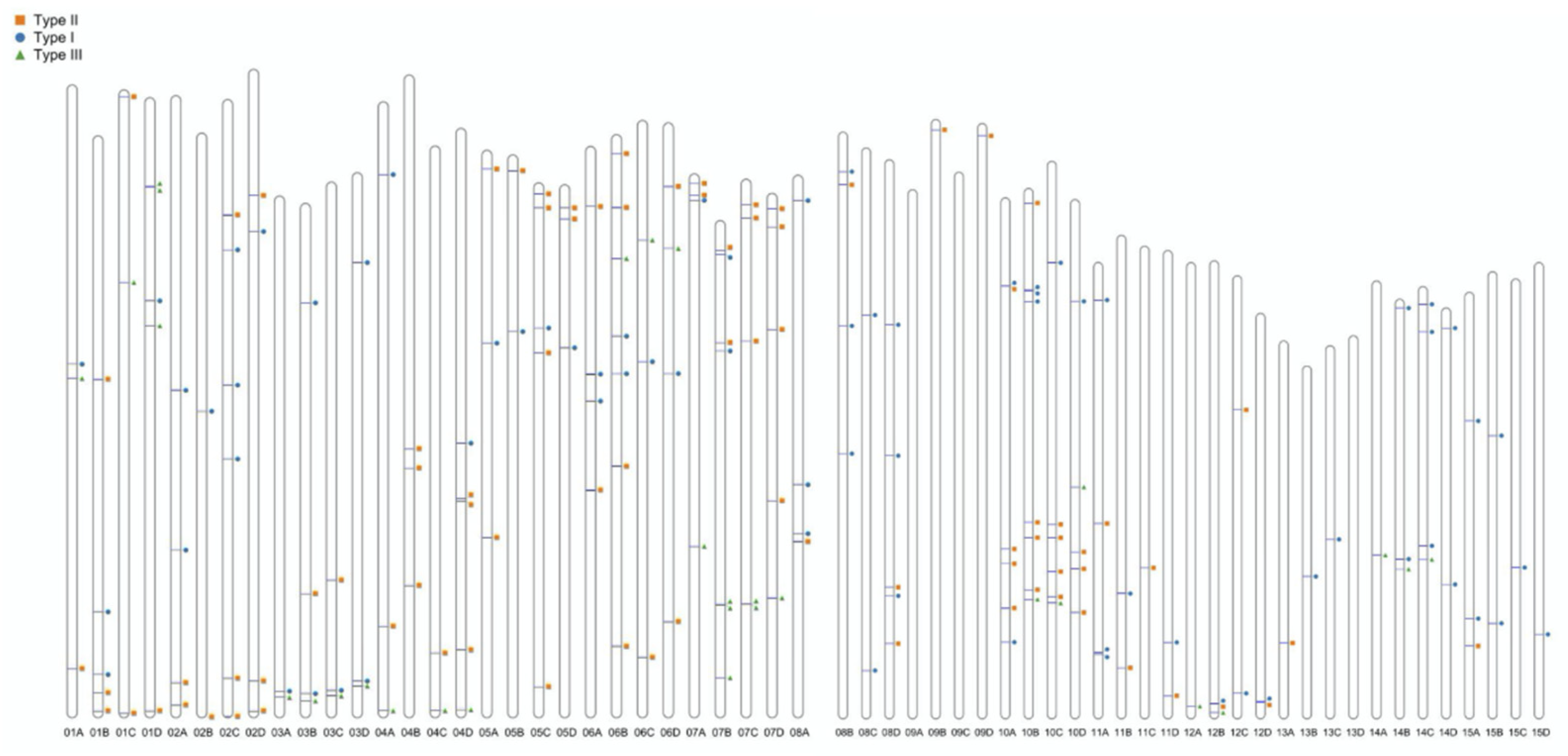 Preprints 193172 g001