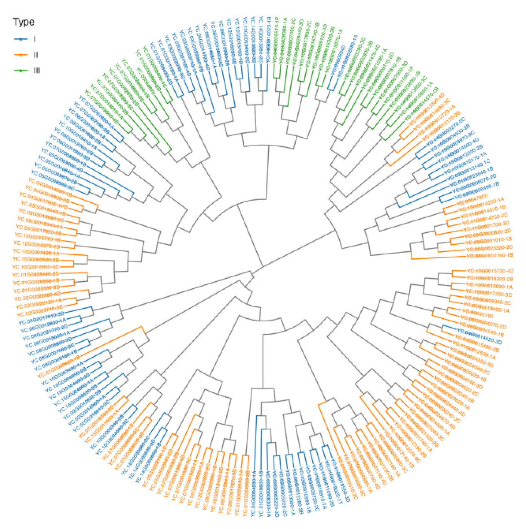Preprints 193172 g003