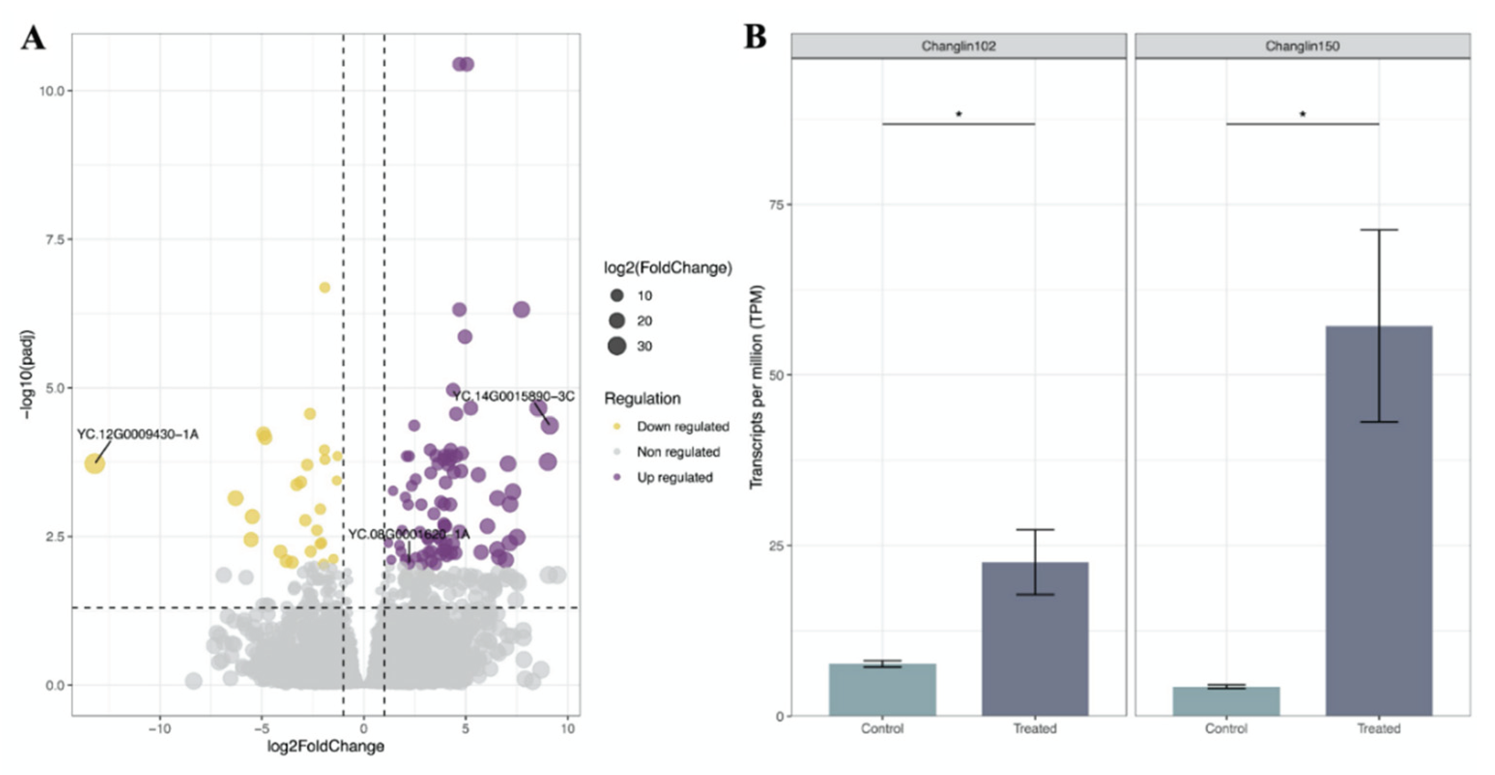 Preprints 193172 g007