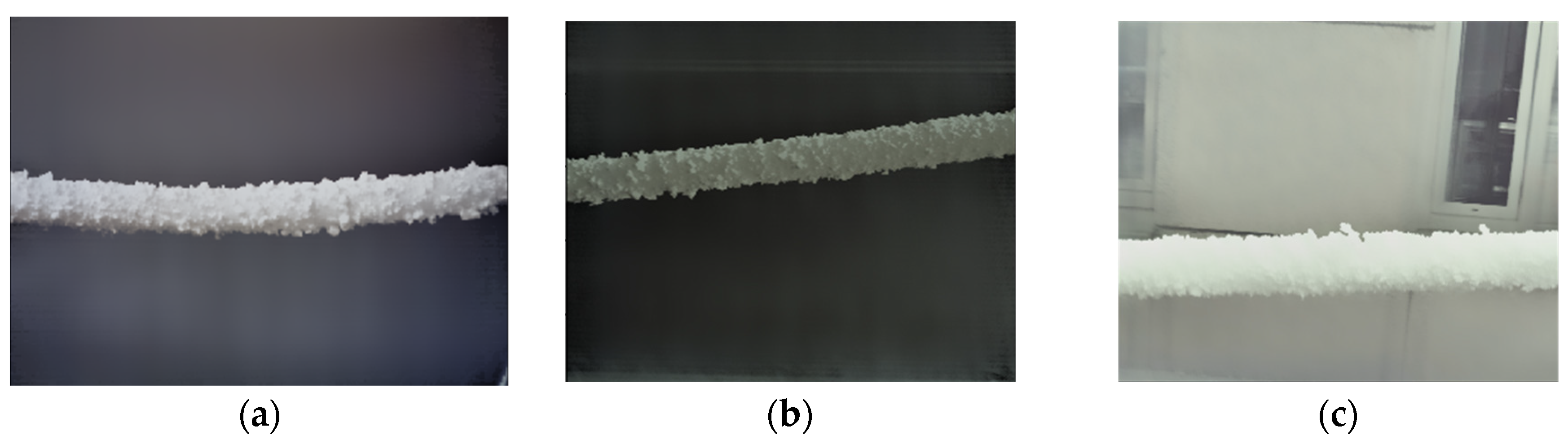 Preprints 79414 g019