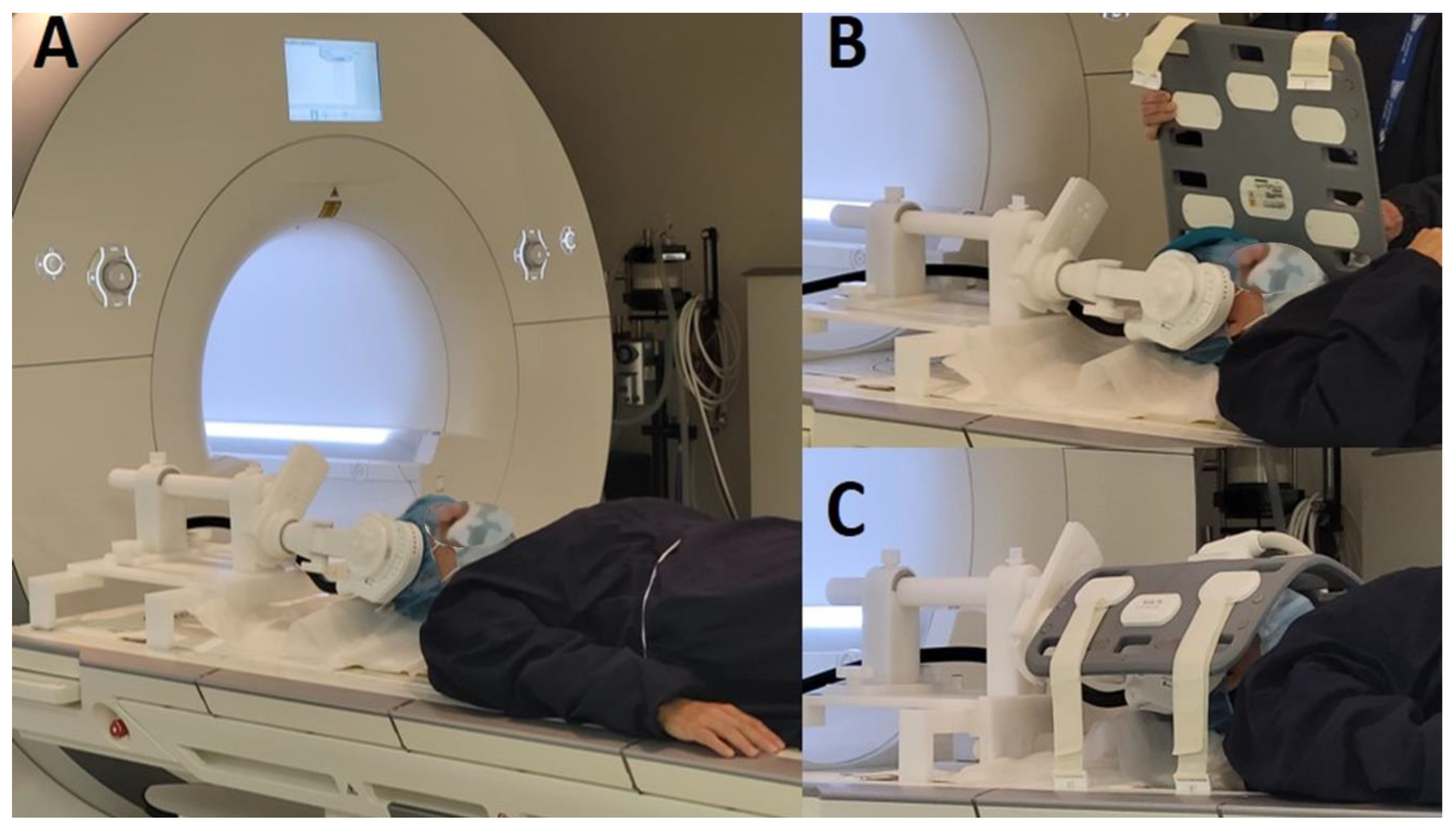 Preprints 160933 g001