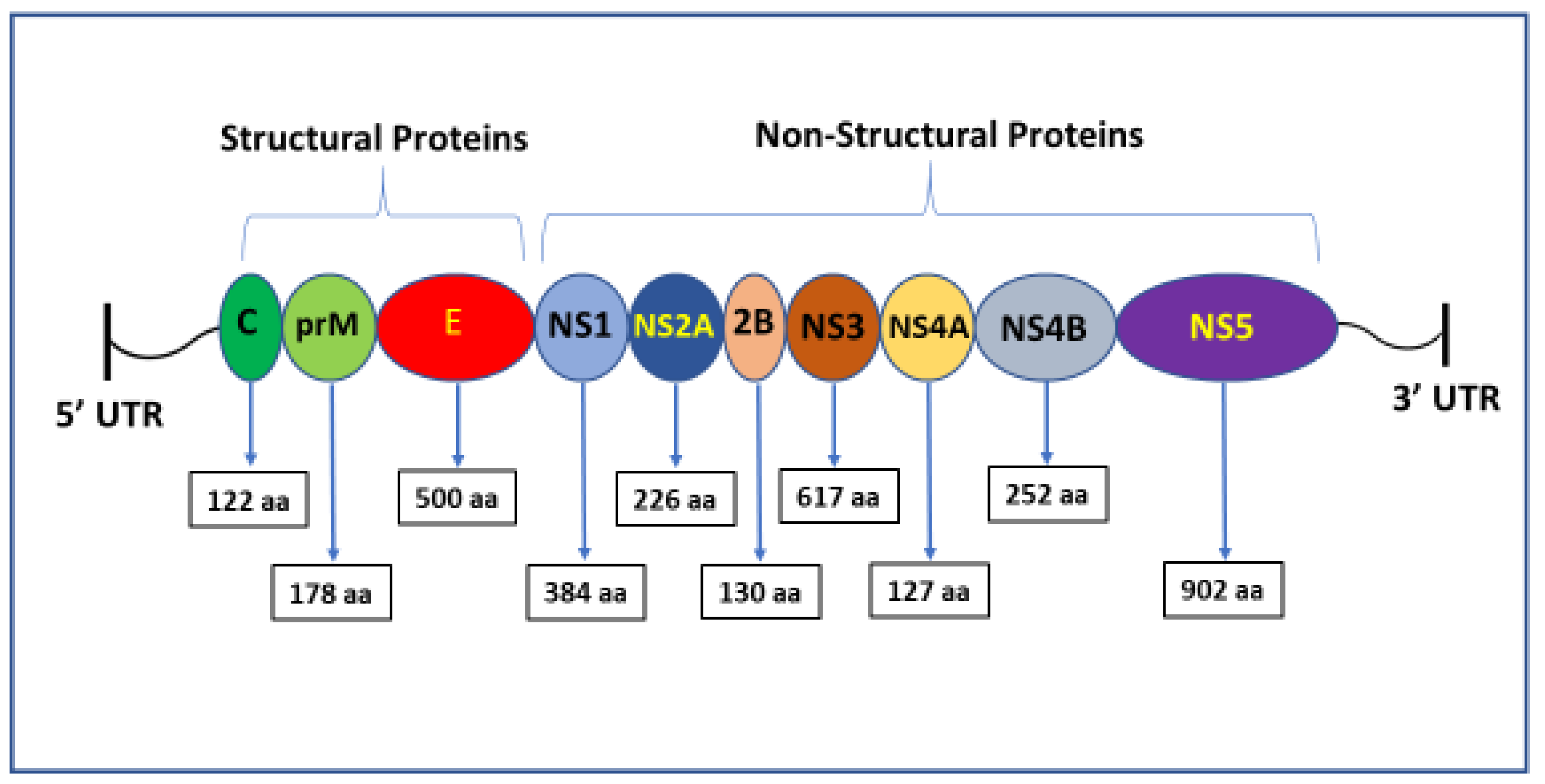 Preprints 141658 g002