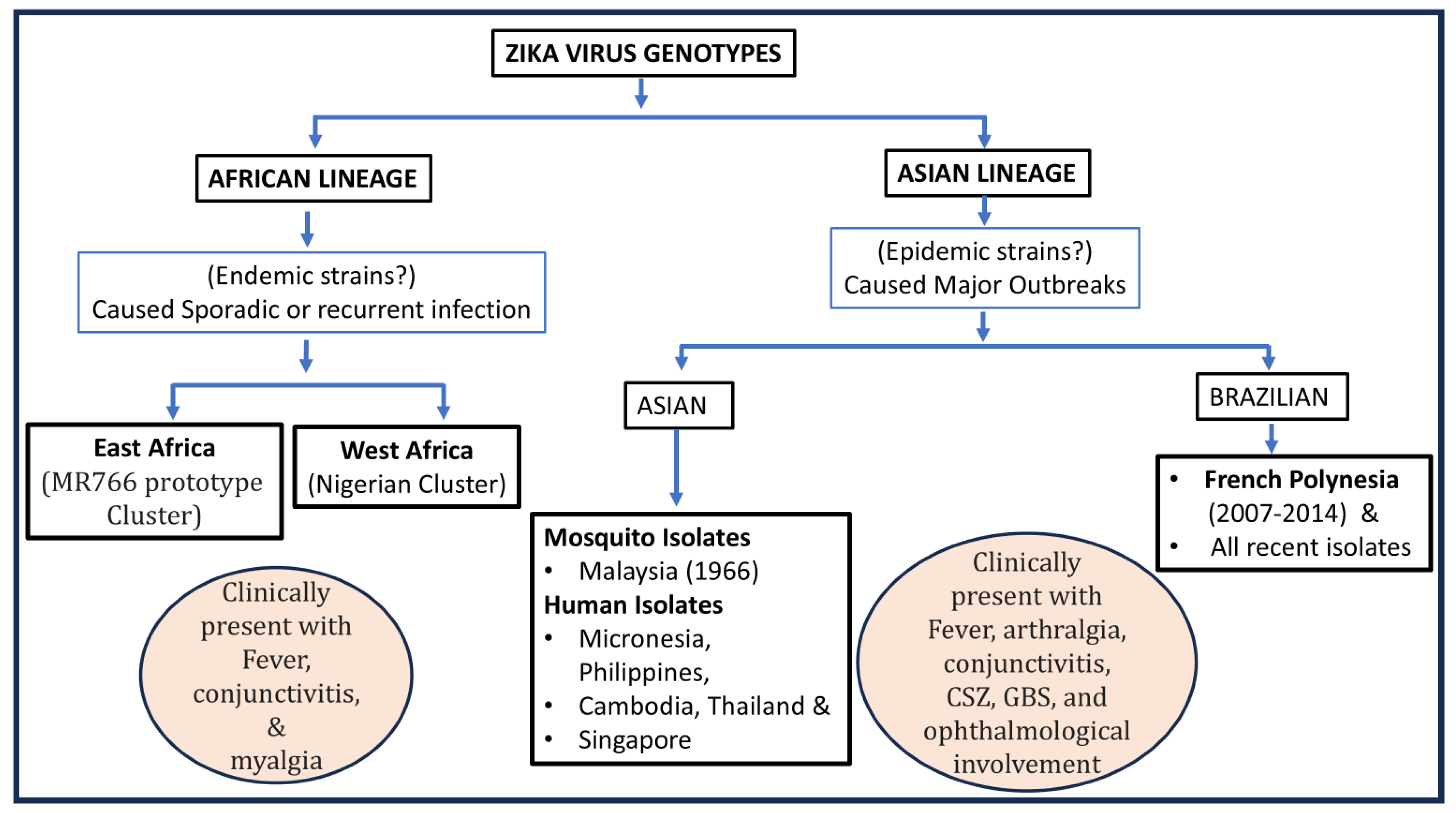 Preprints 141658 g003