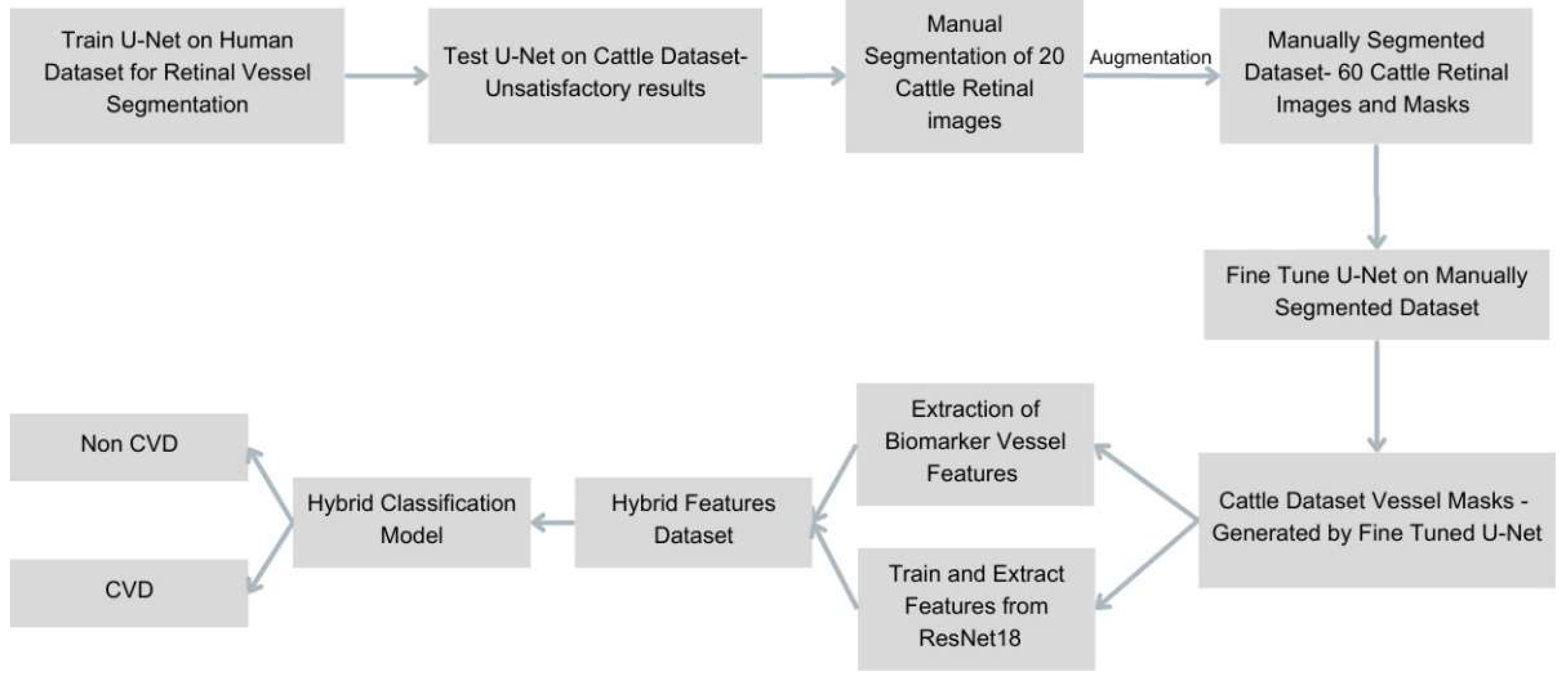 Preprints 160702 g001