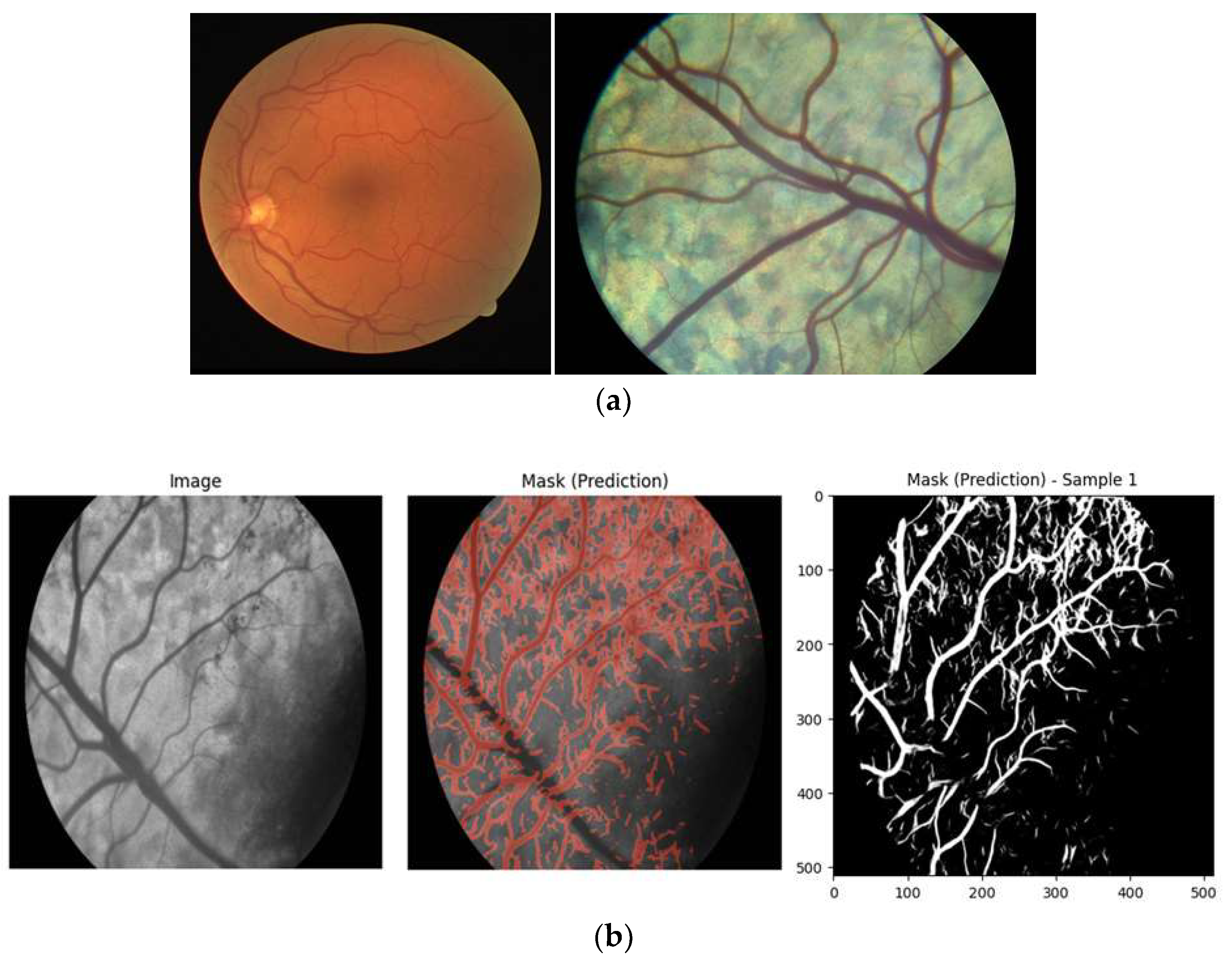 Preprints 160702 g002