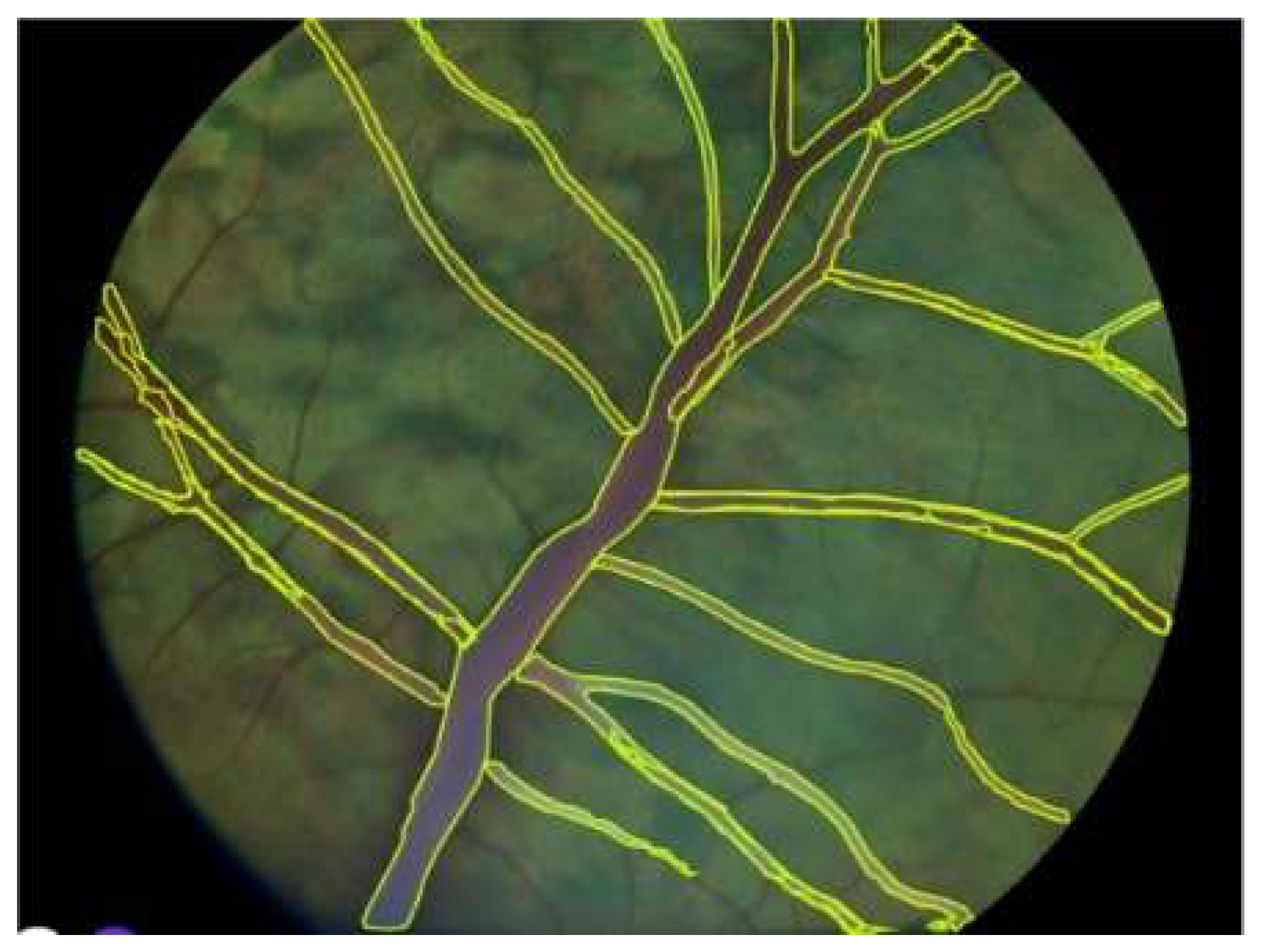 Preprints 160702 g005